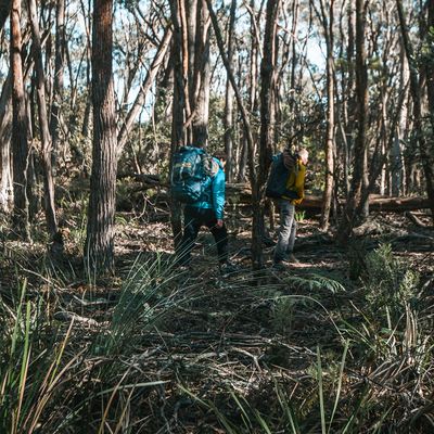 Bushwalking