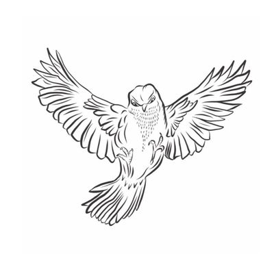 Sparrow Fitness