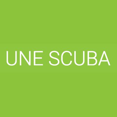 UNE Scuba Club 