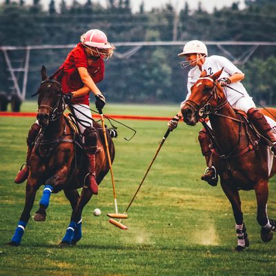 Polo