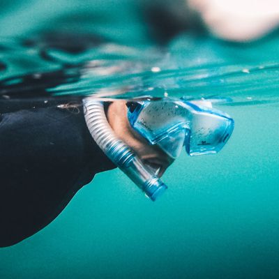 Snorkelling