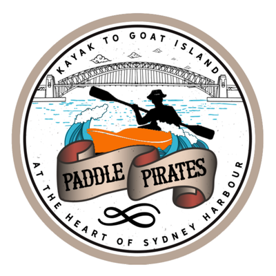 Paddle Pirates