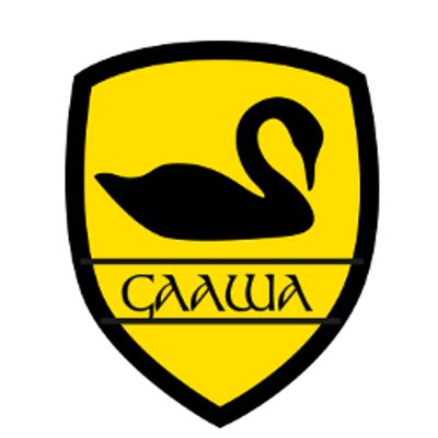 Gaelic Games Junior Academy of WA
