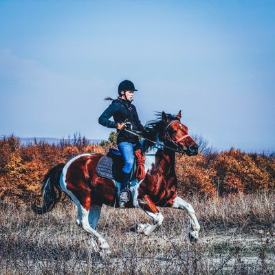 Horse Riding