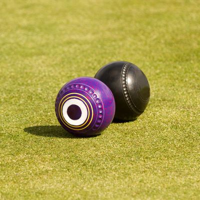 Para Lawn Bowls