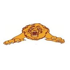 Narre South Lions Football & Netball Club