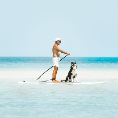 Stand Up Paddleboarding