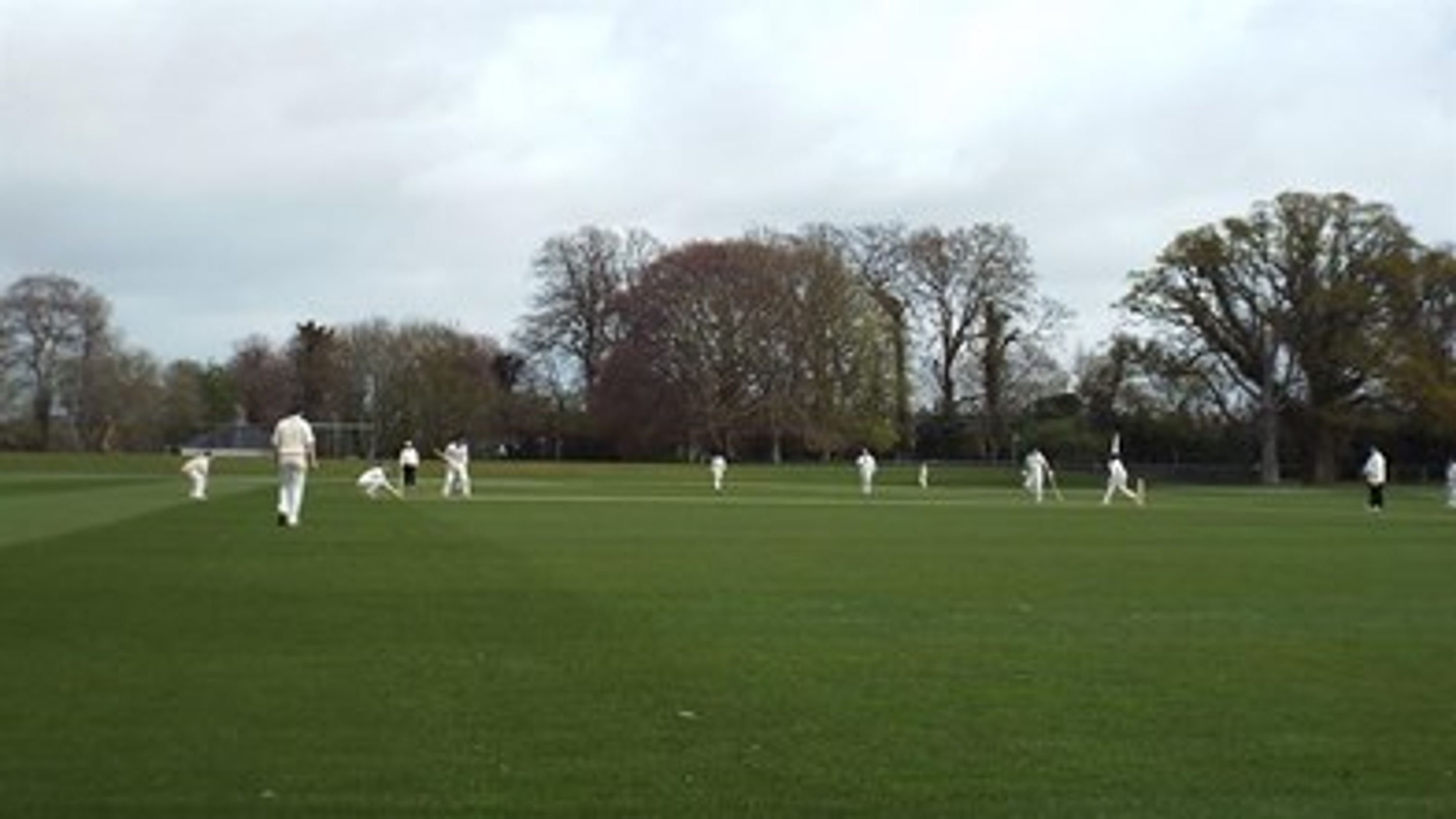 Bats and Bubbles Evening with the Sunrisers