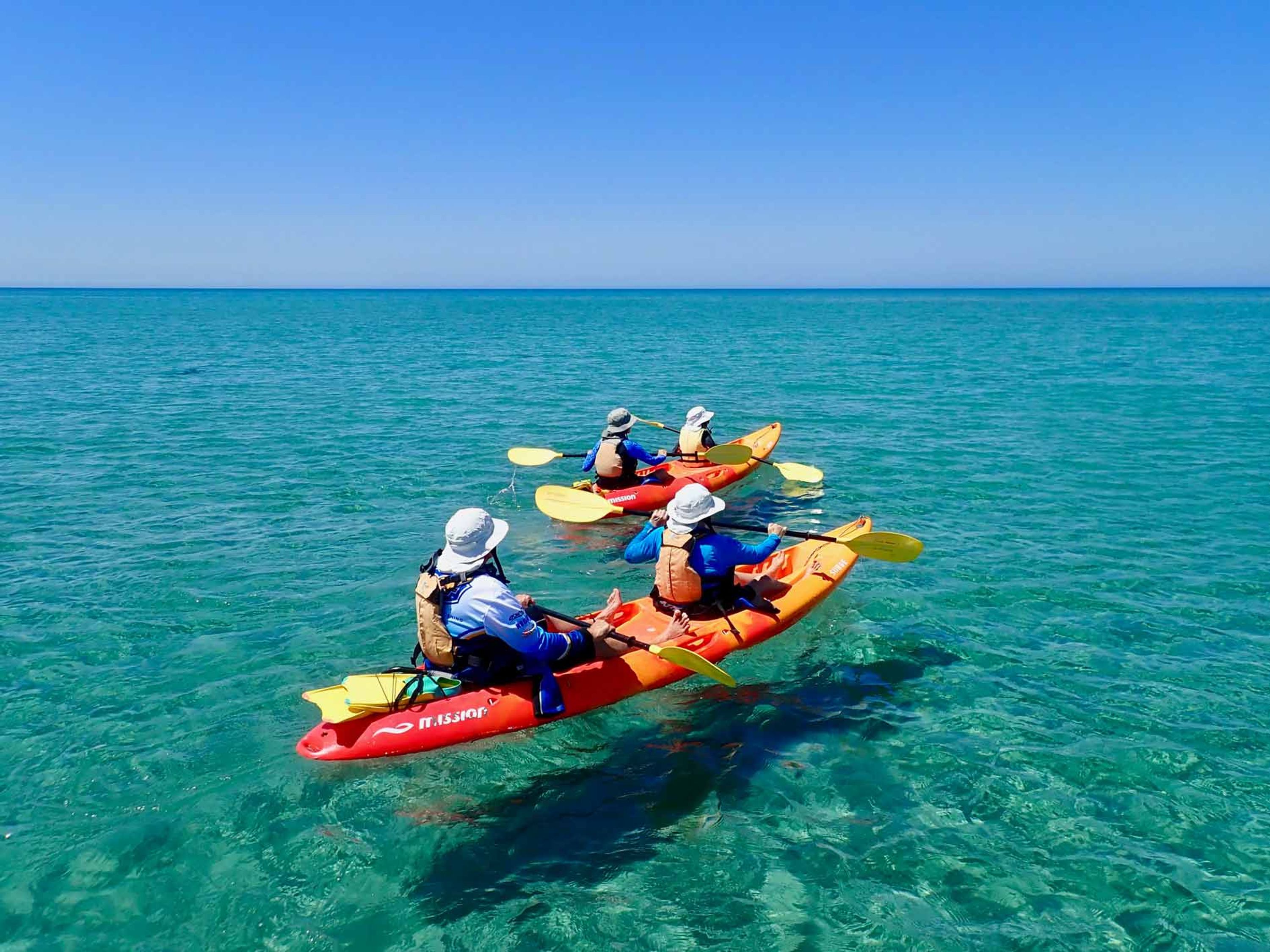 Turtle Tour Half Day Sea Kayak & Snorkel Tour