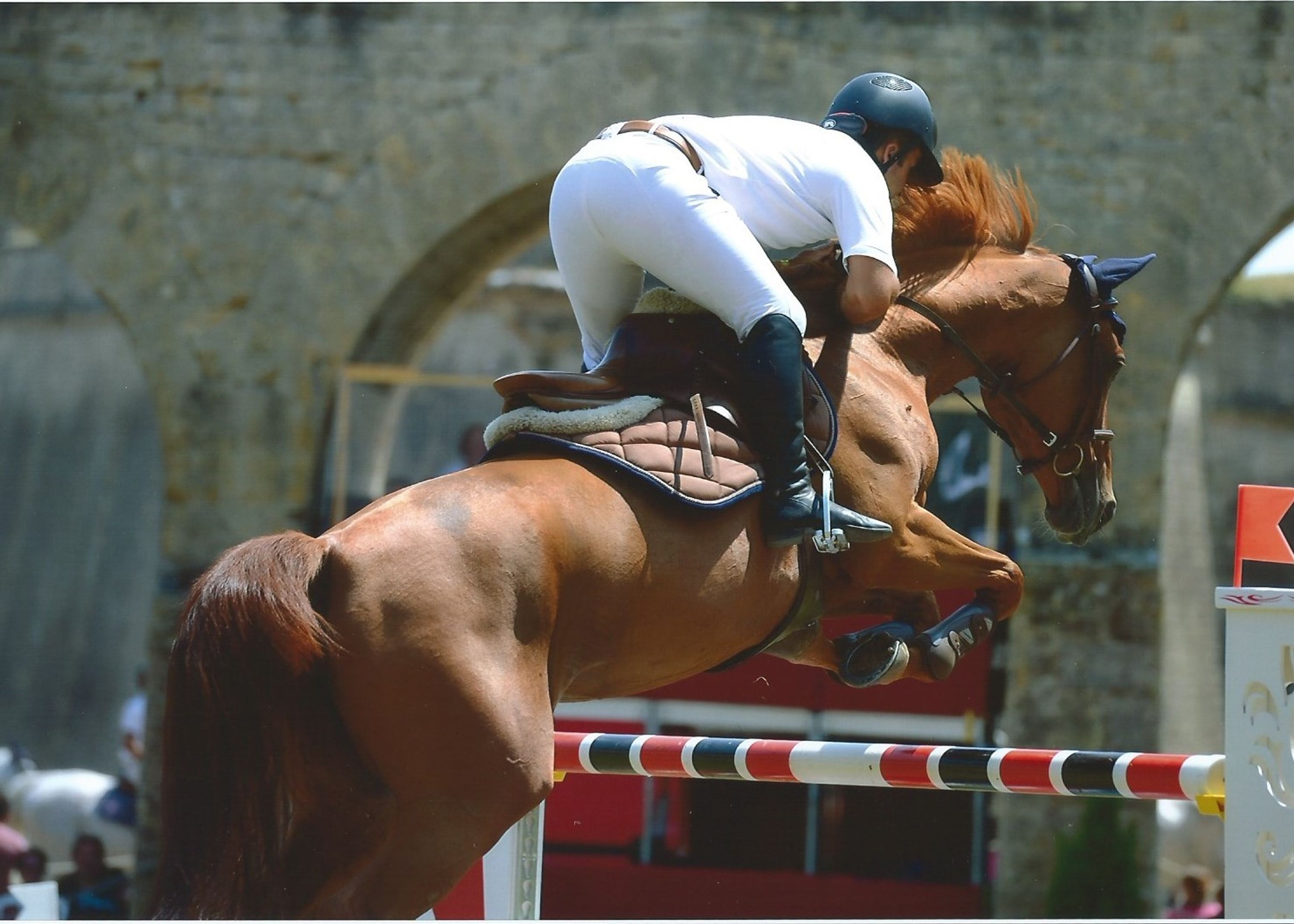 CENTRE EQUESTRE DES PINS