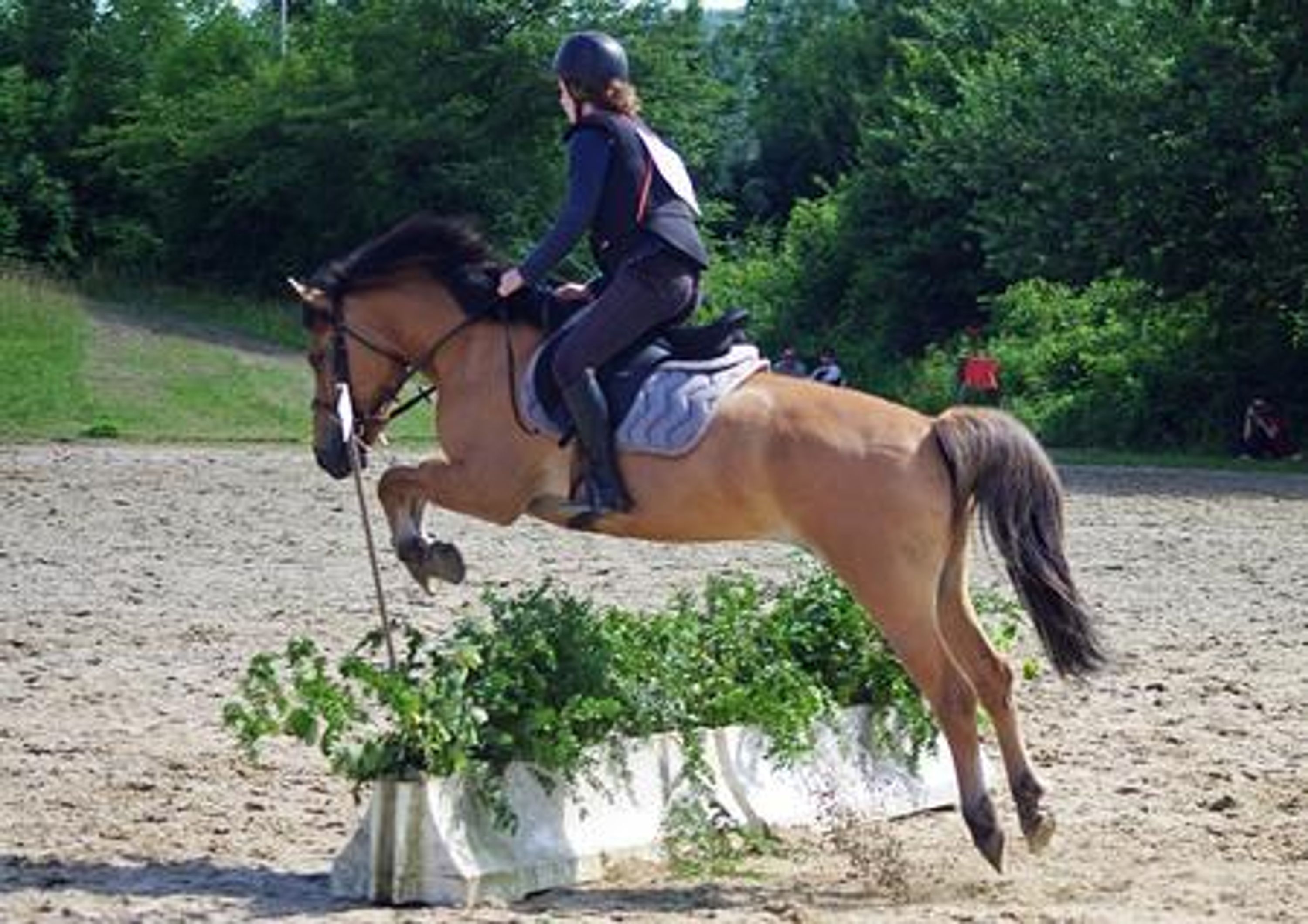 Equestrian Center D'artemare