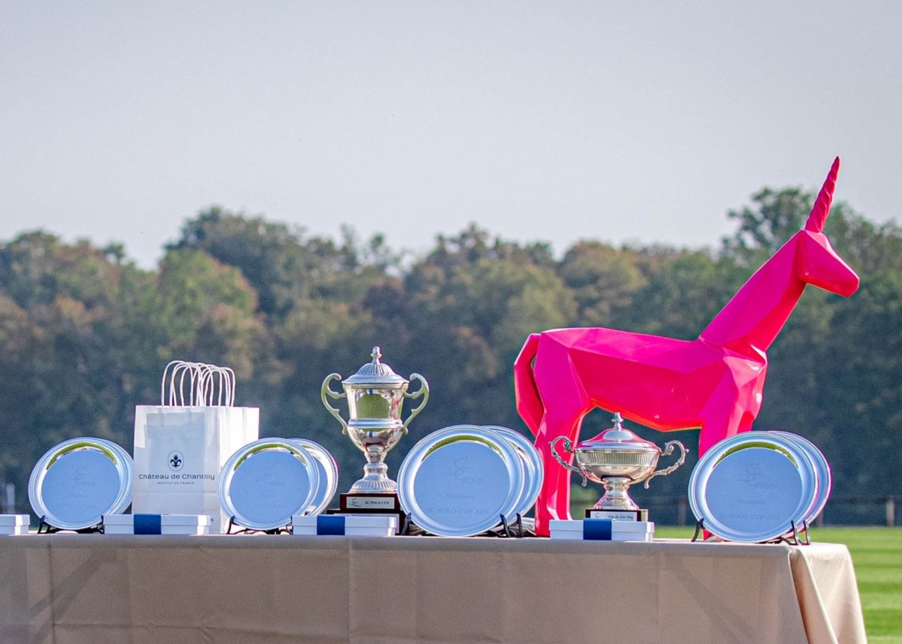 SC Polo (Polo, Initiation Polo,Teambulding, Apremont, Paris)