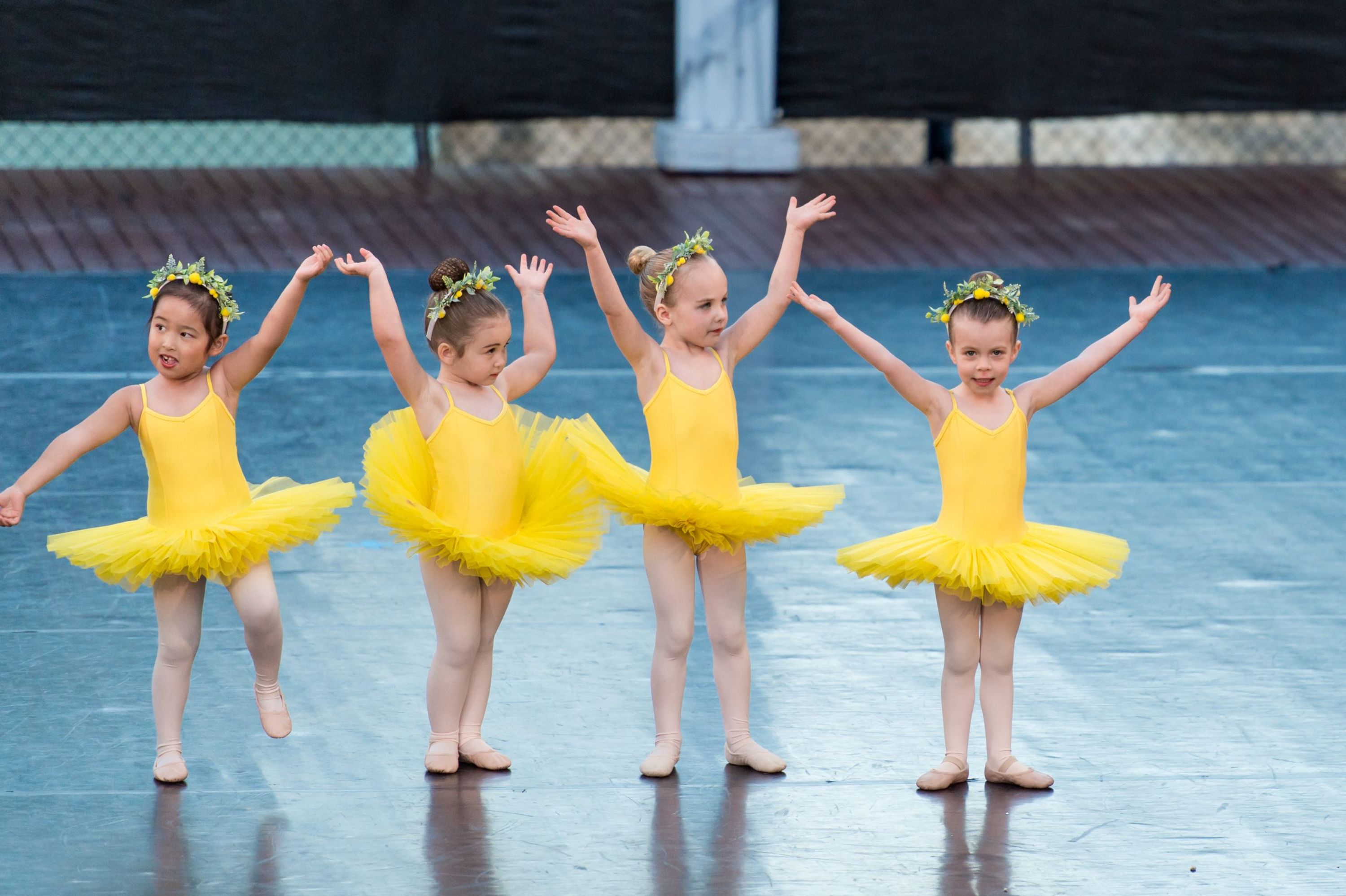 Pevnev Ballet Academy