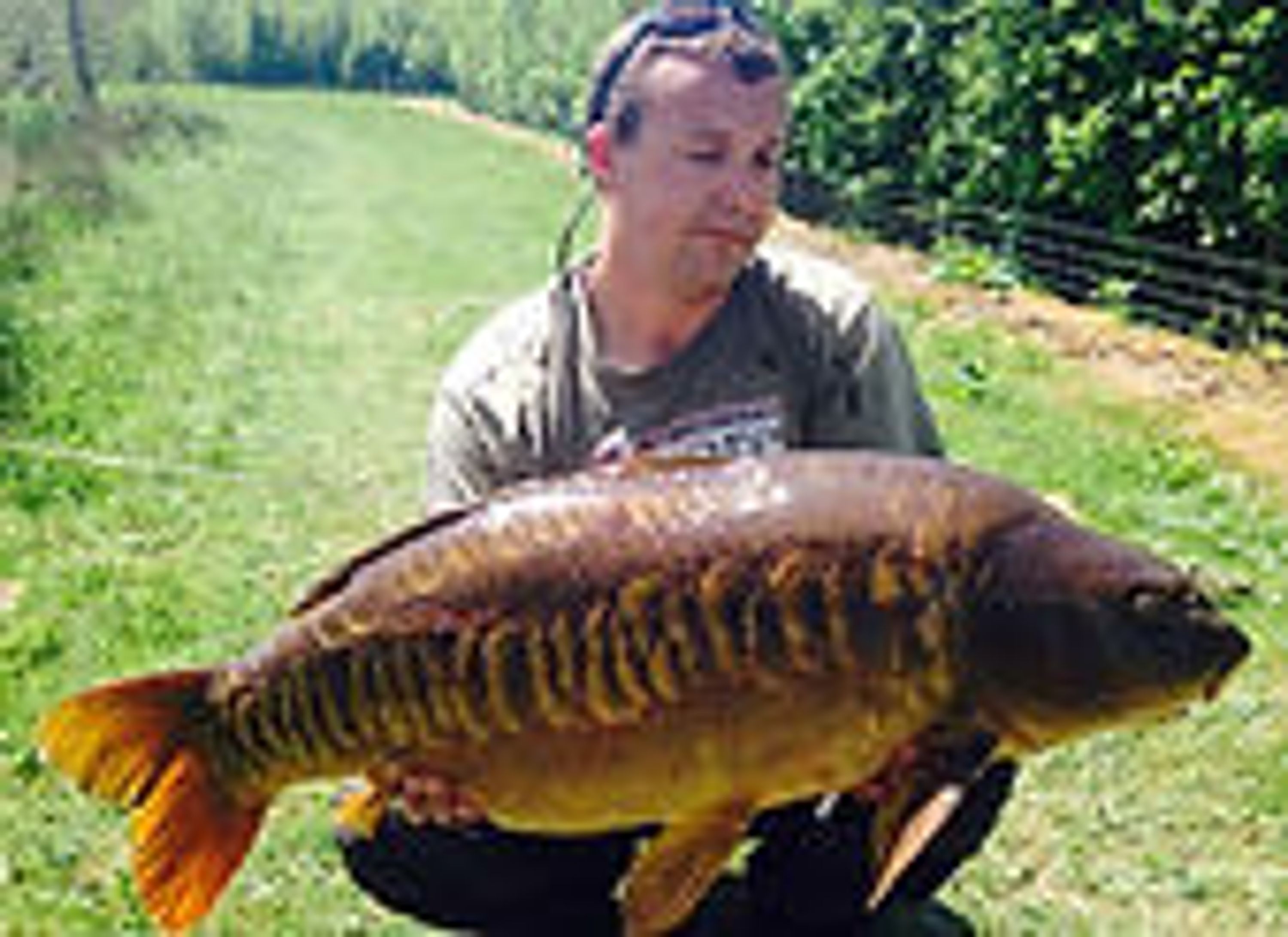 Four Ponds Fishery