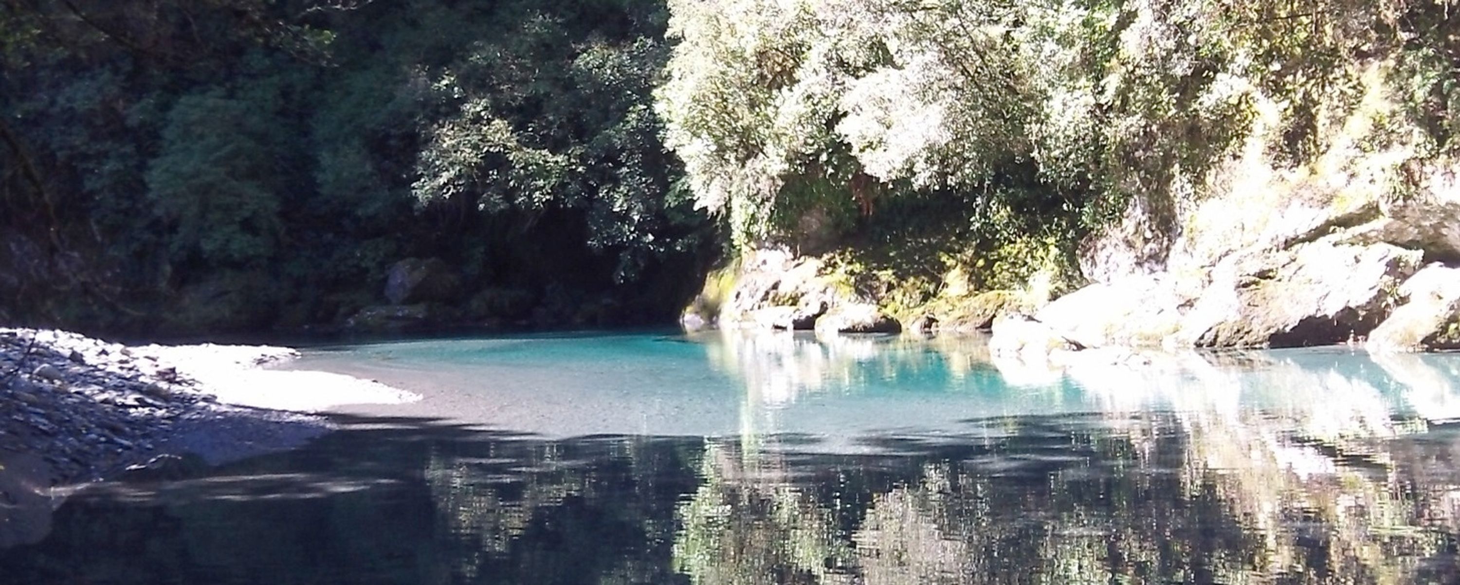 Guided Fly fishing