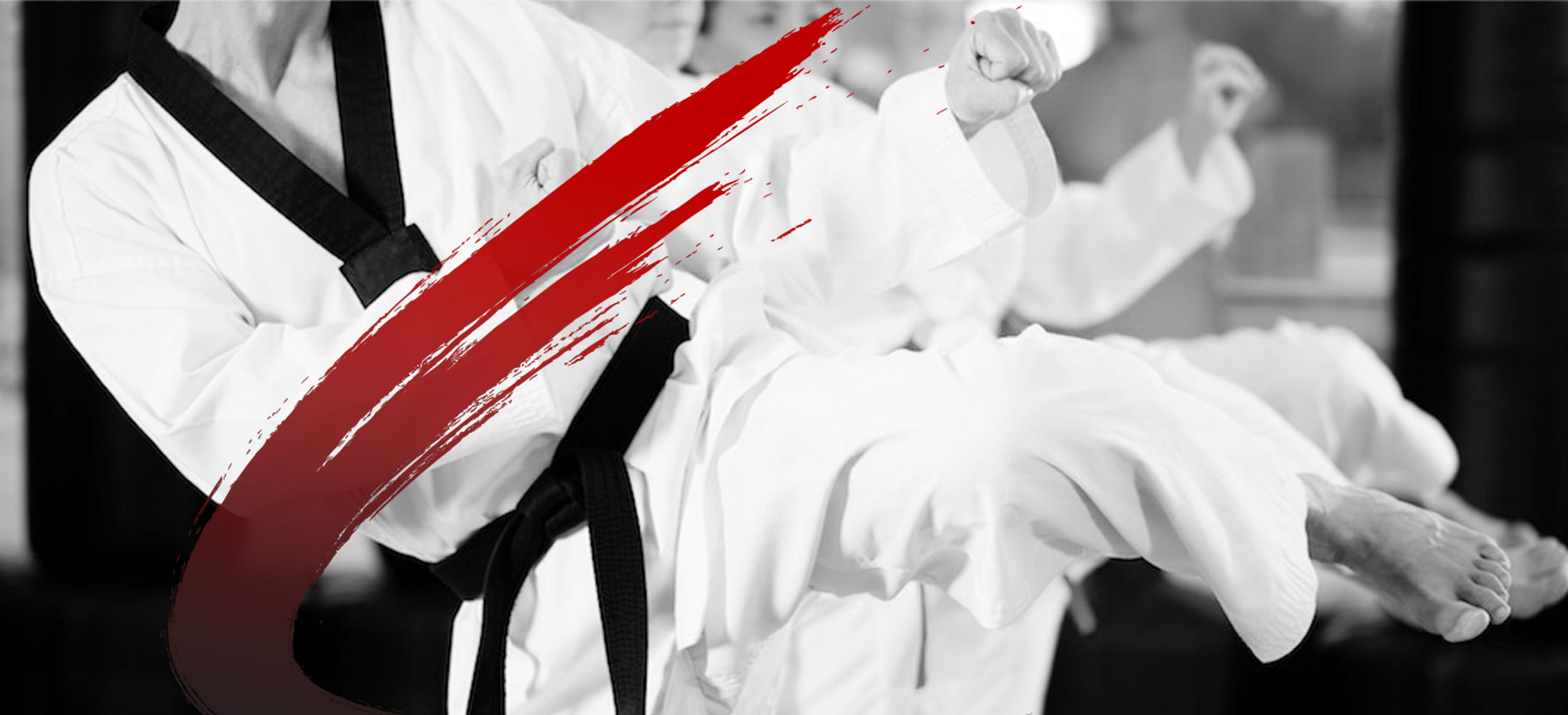 Taekwondo World