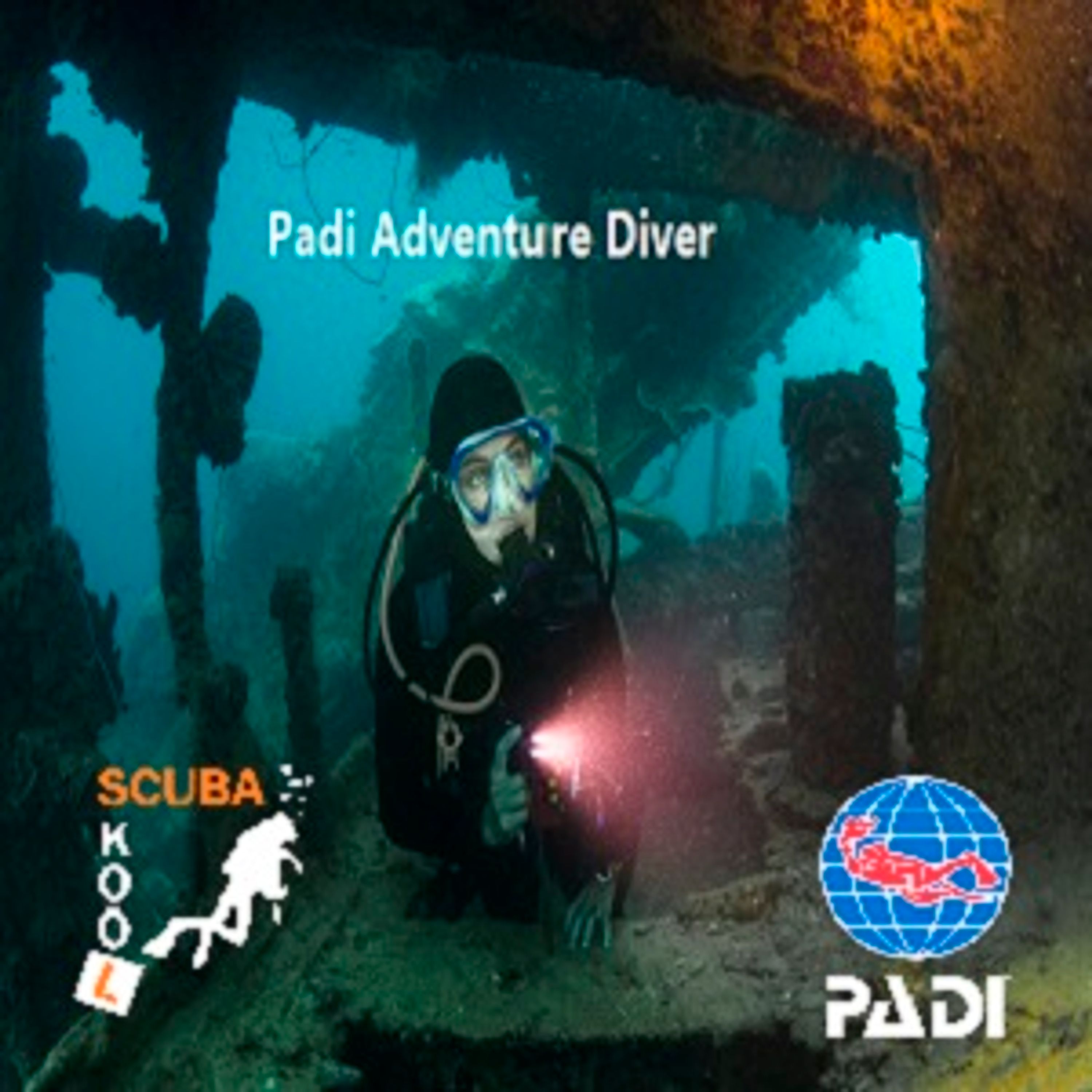 PADI Seal Team and Master Seal Team Pool Sessions