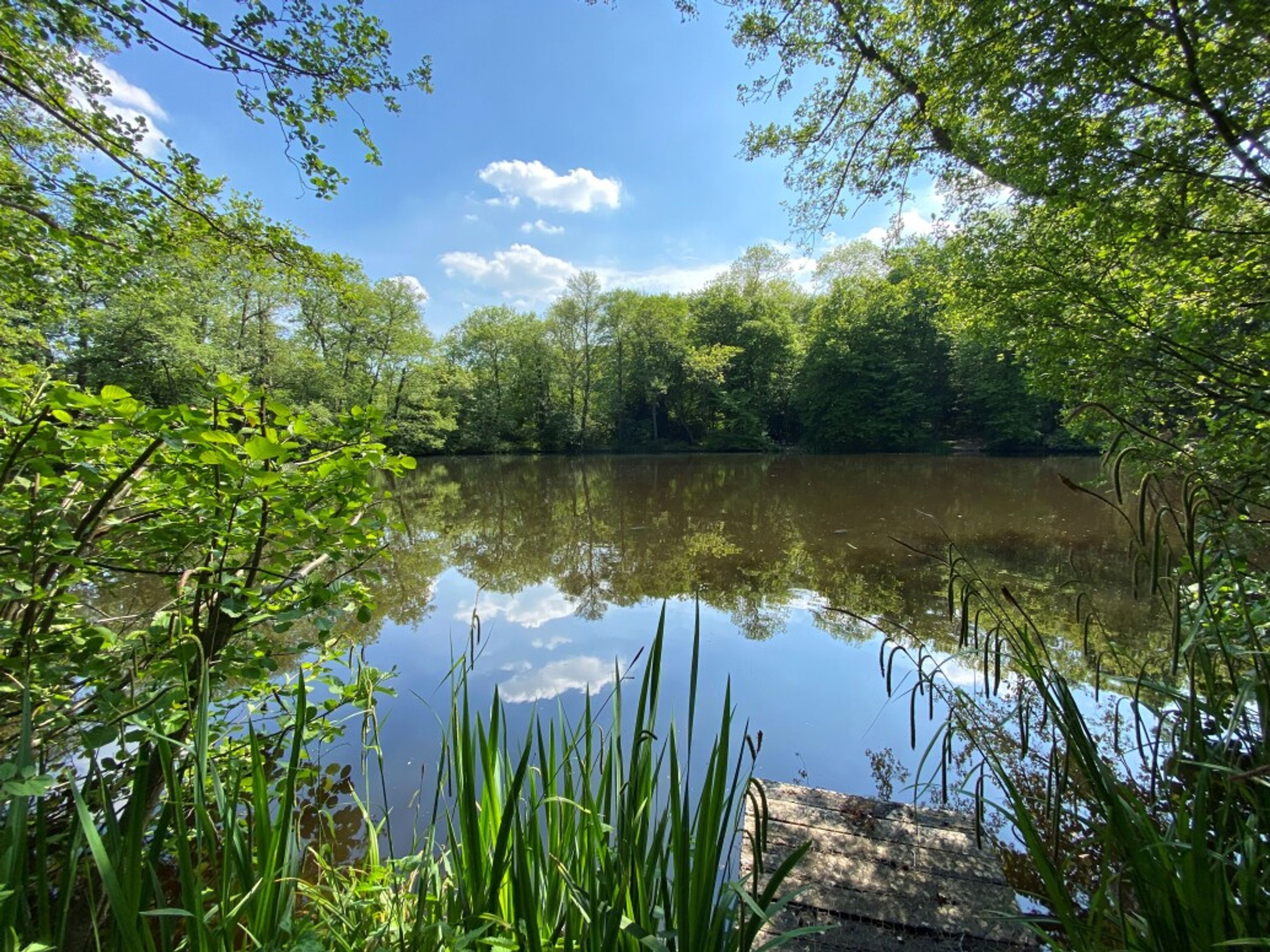 Hook Lake