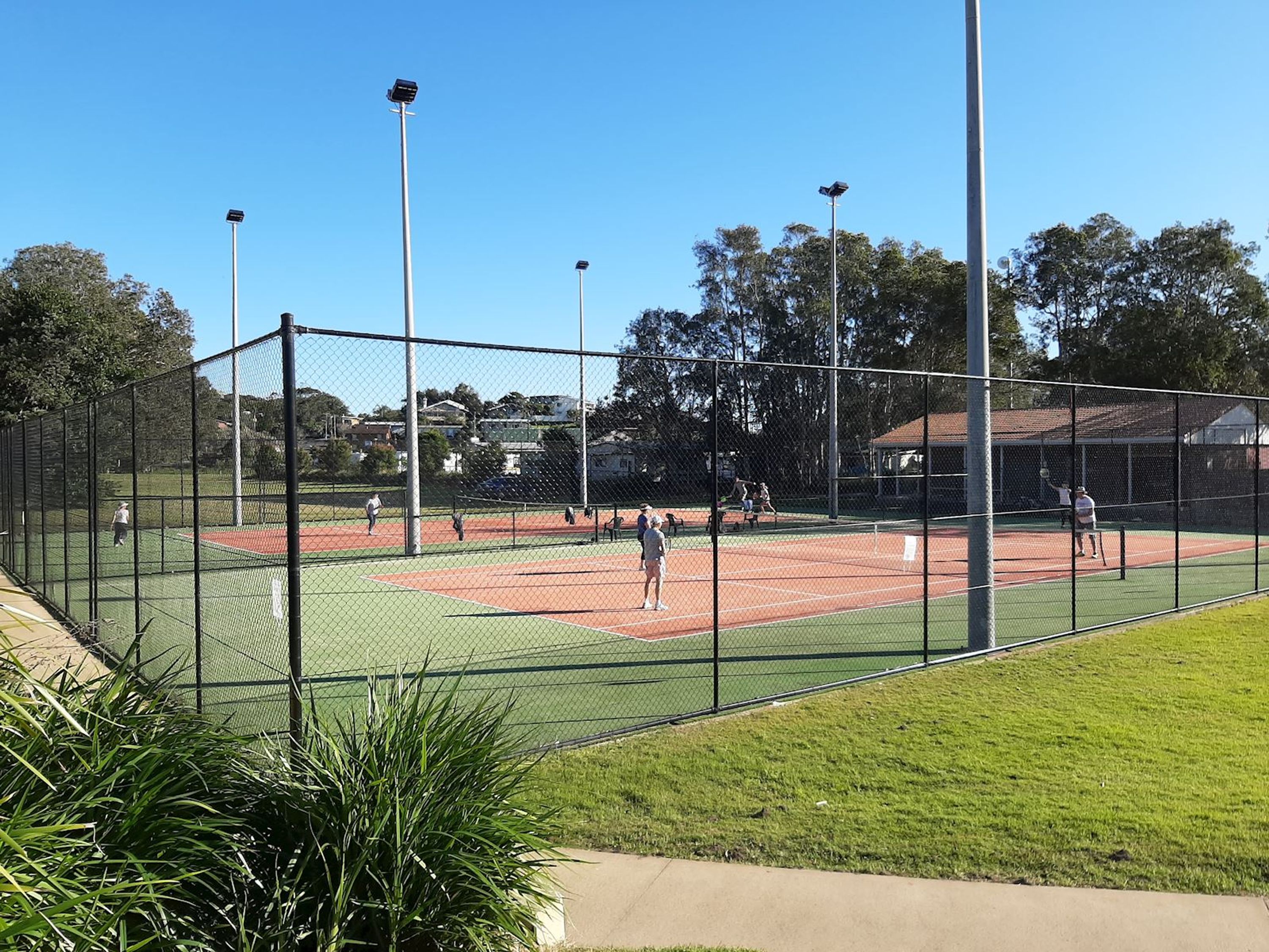 Scott's head tennis club