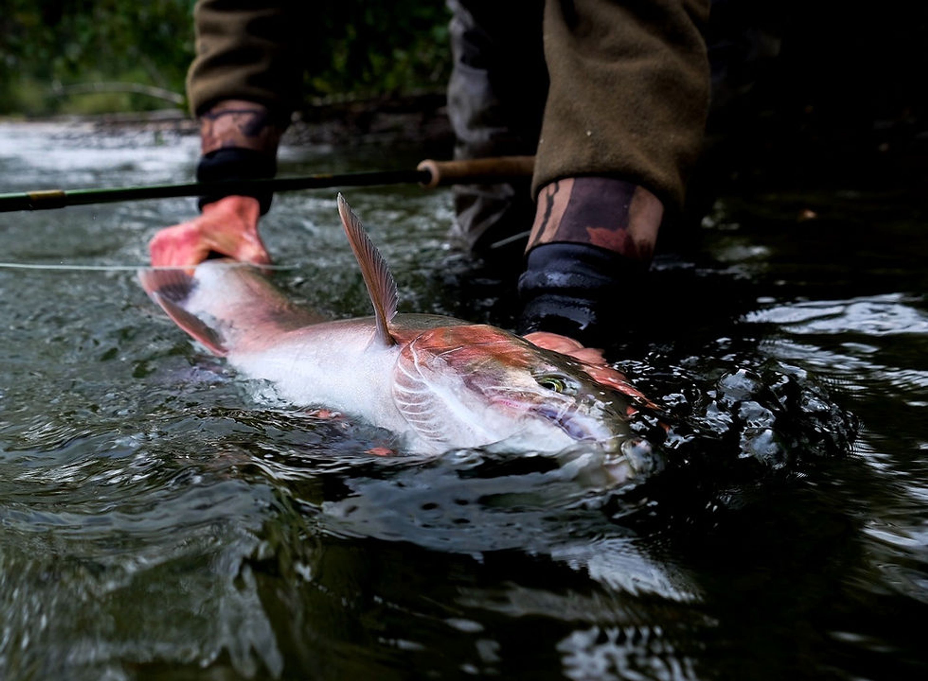 Whistler Fishing Guides Since 1988
