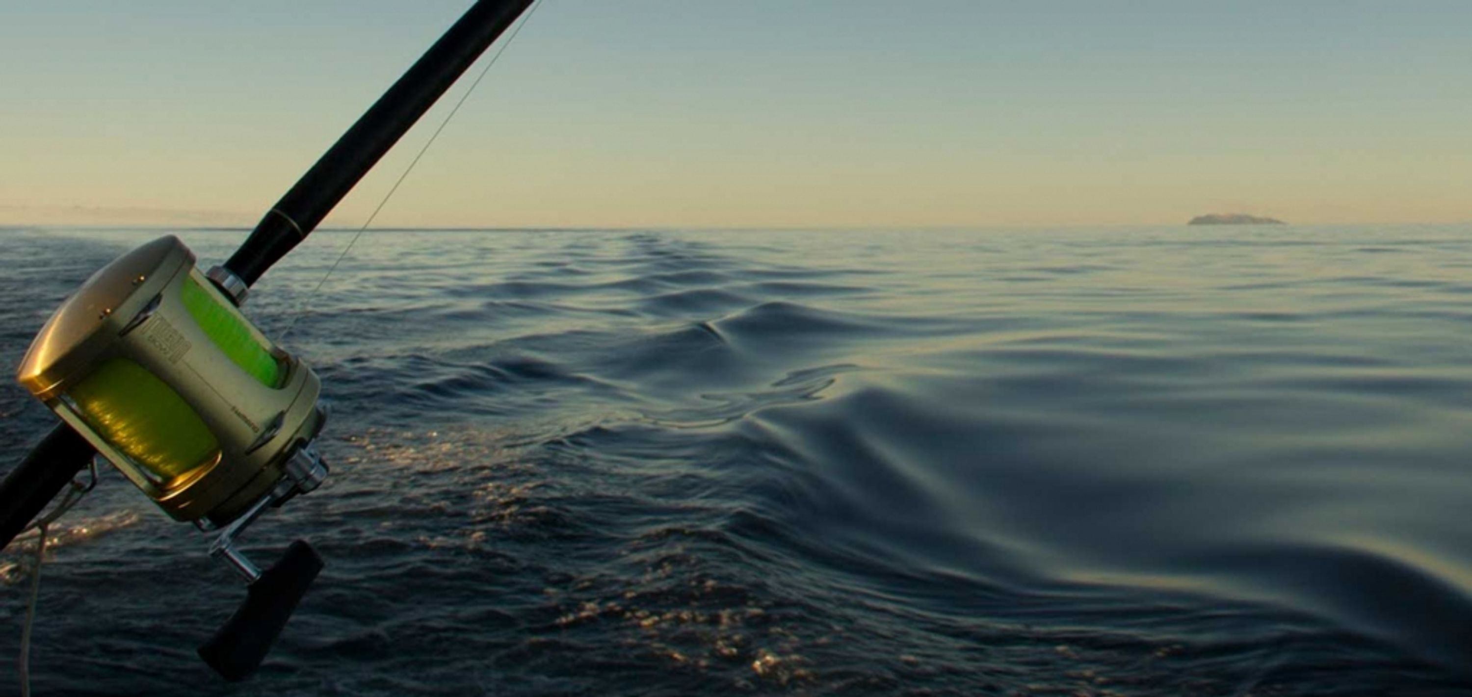 Whakatane Sportfishing Club