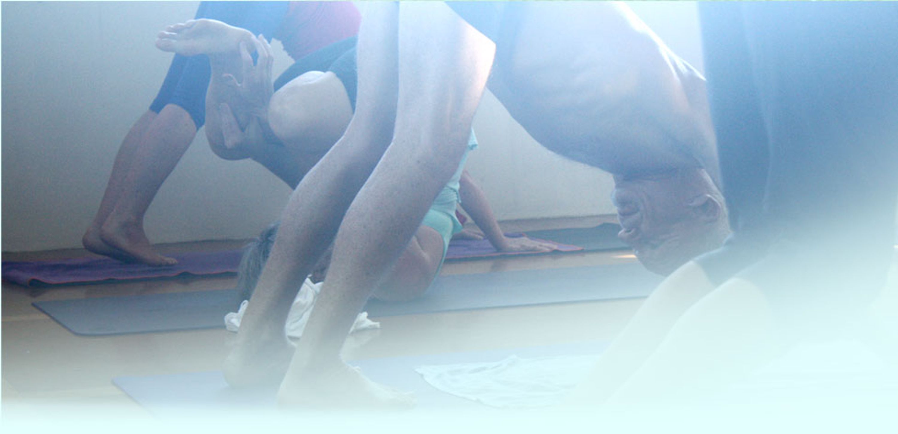 YinYasa Yoga