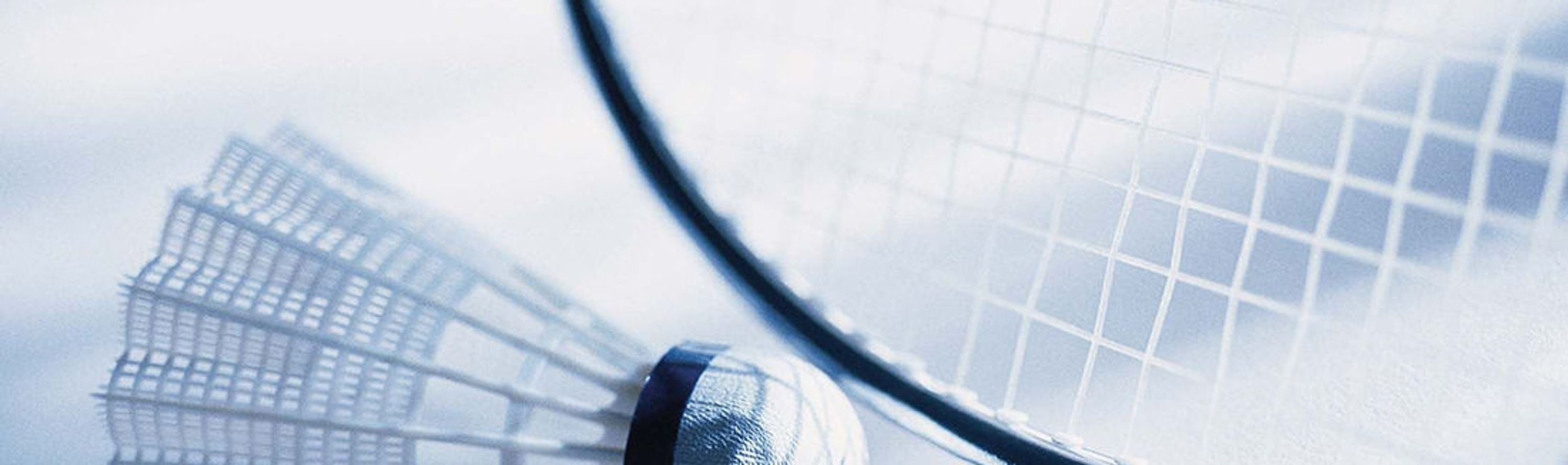 Cedars Badminton Club