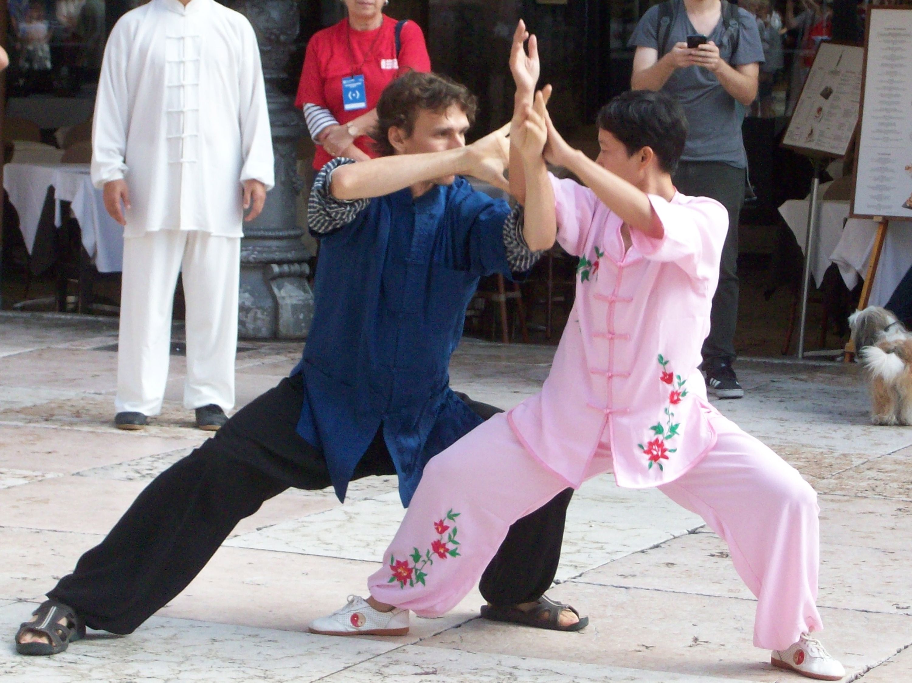 Chansi Tai Chi Chuan