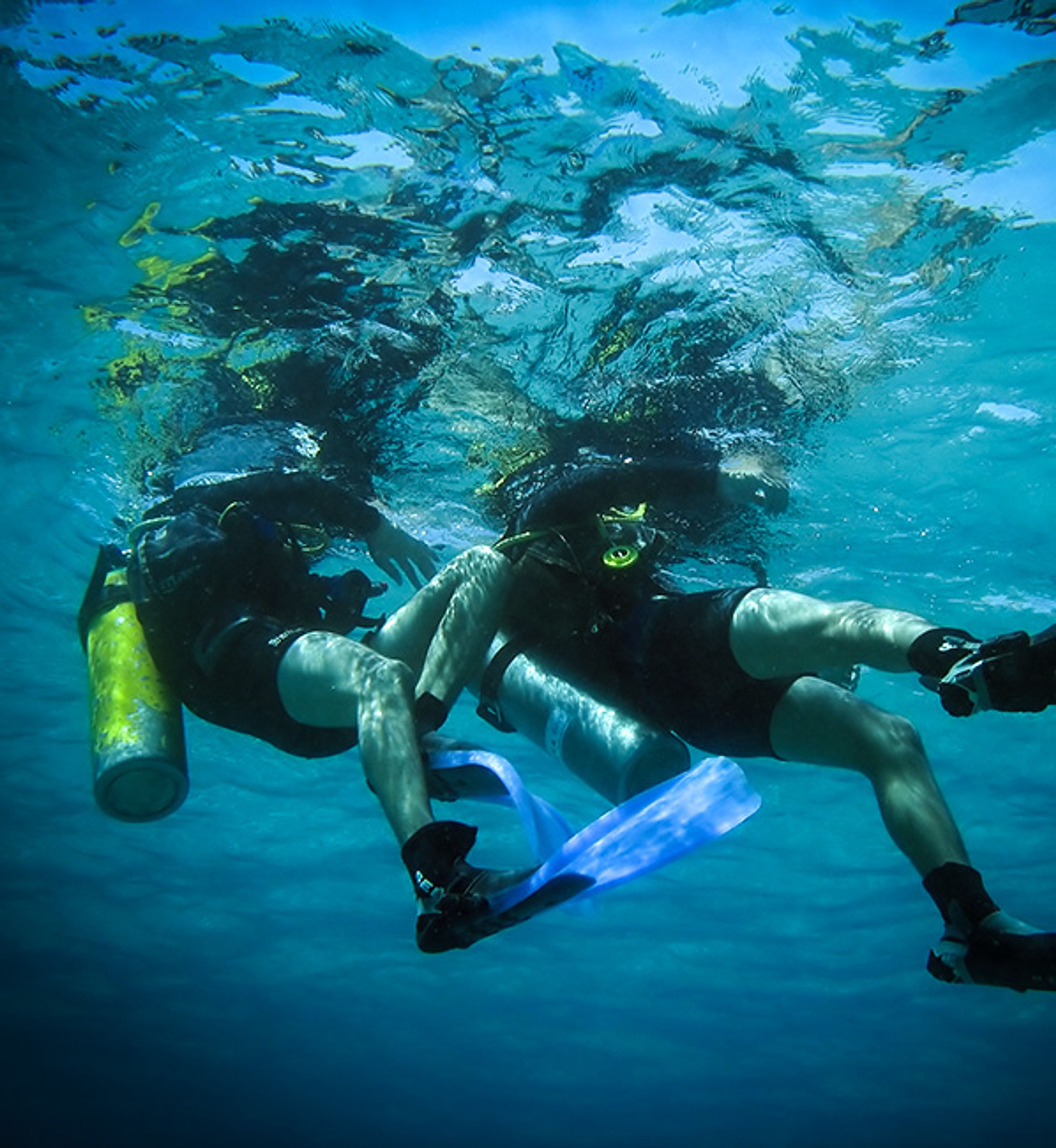 Formation Plongée en Eau Libre