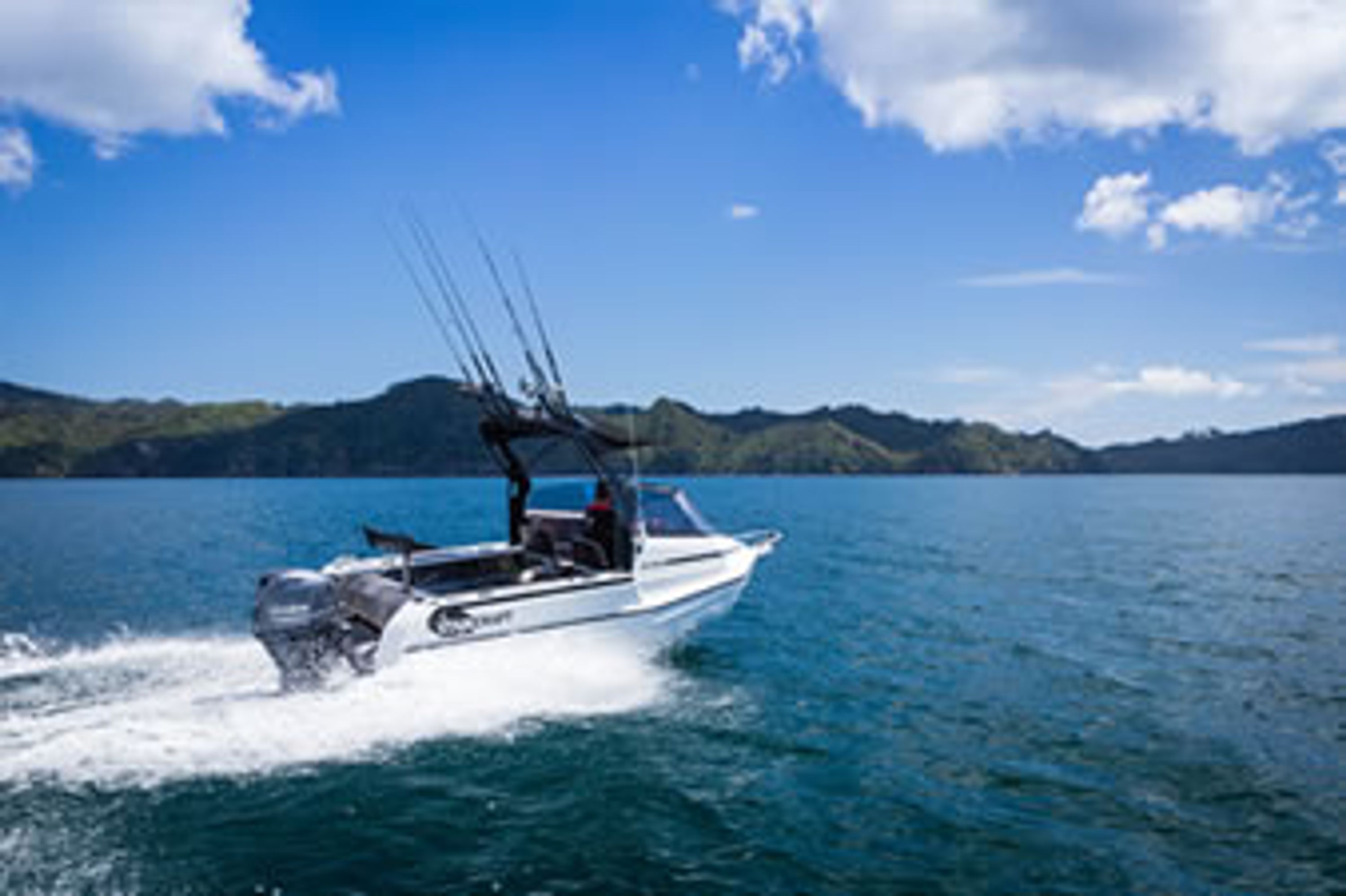 Taupo Troutcatcher