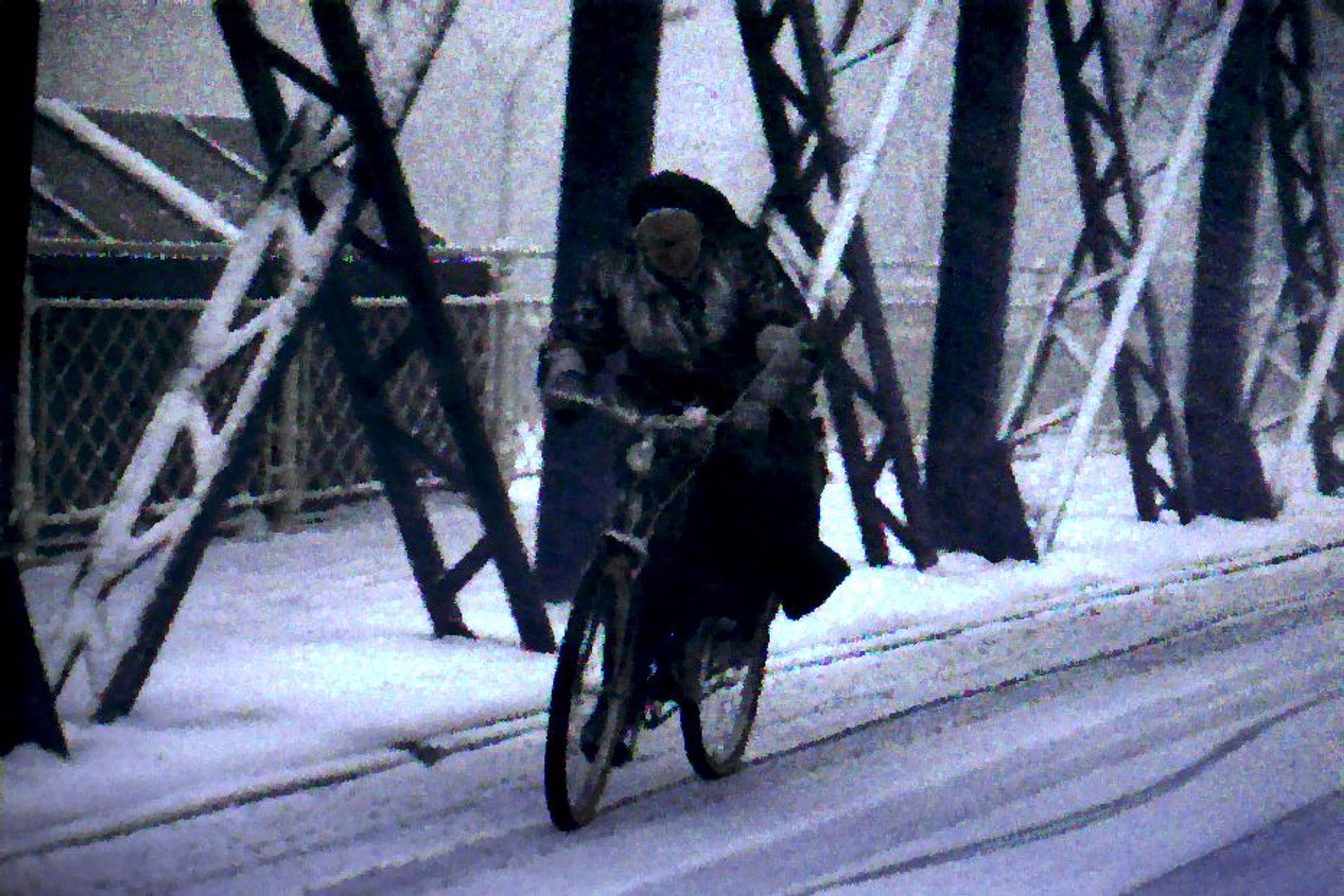 Belle à vélo électrique