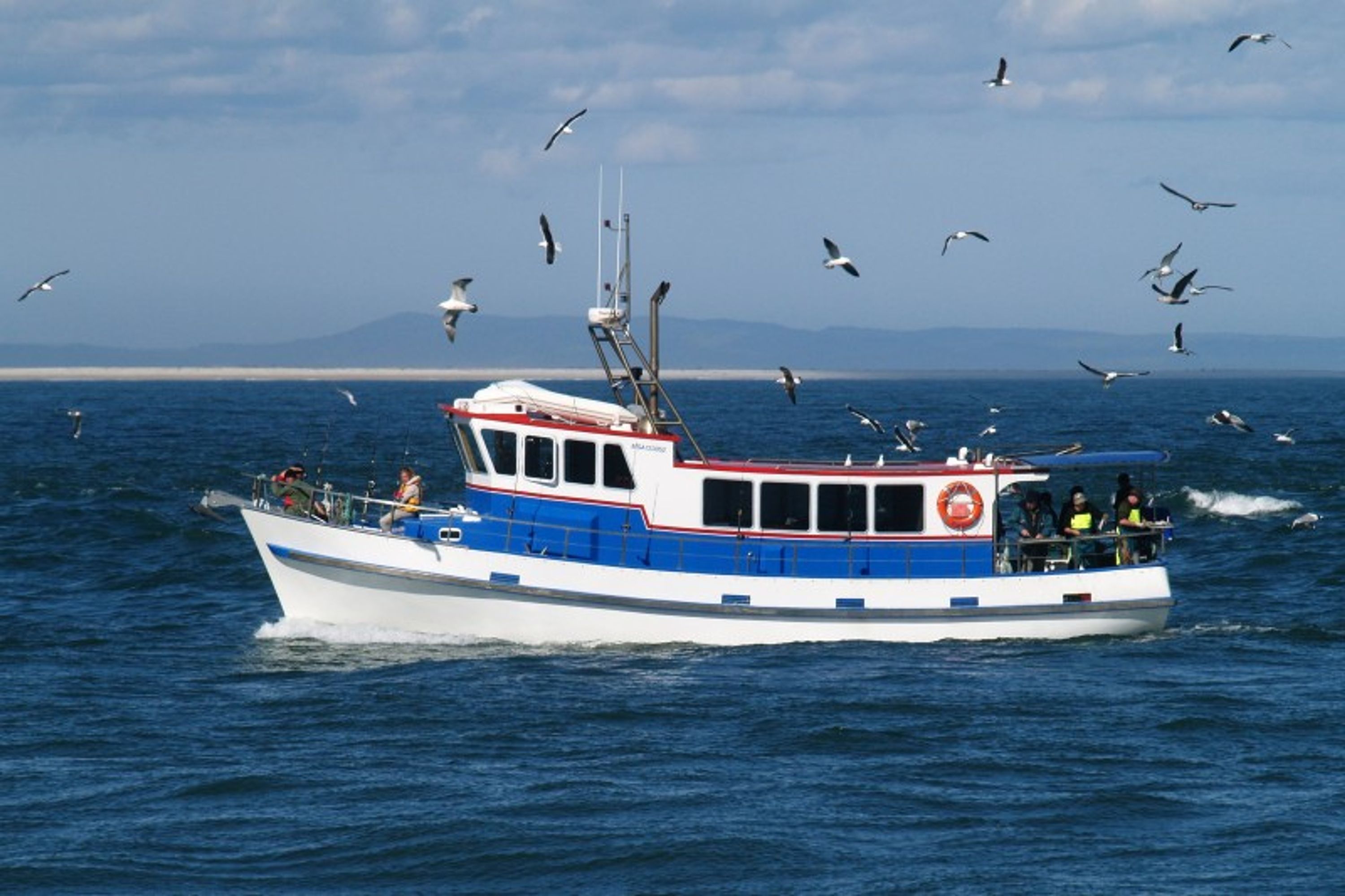 Mairirua Charters