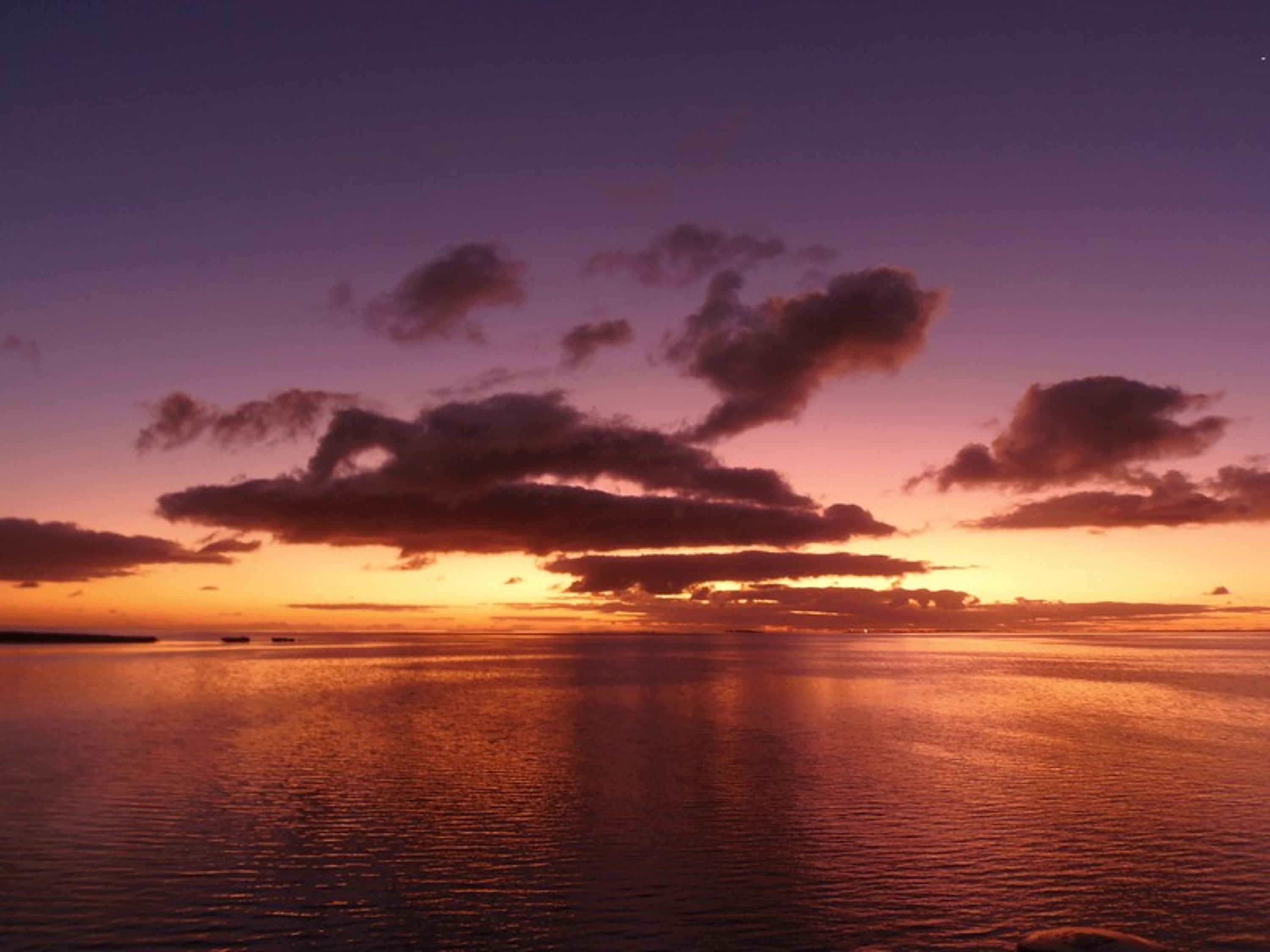 Swan River Cruise