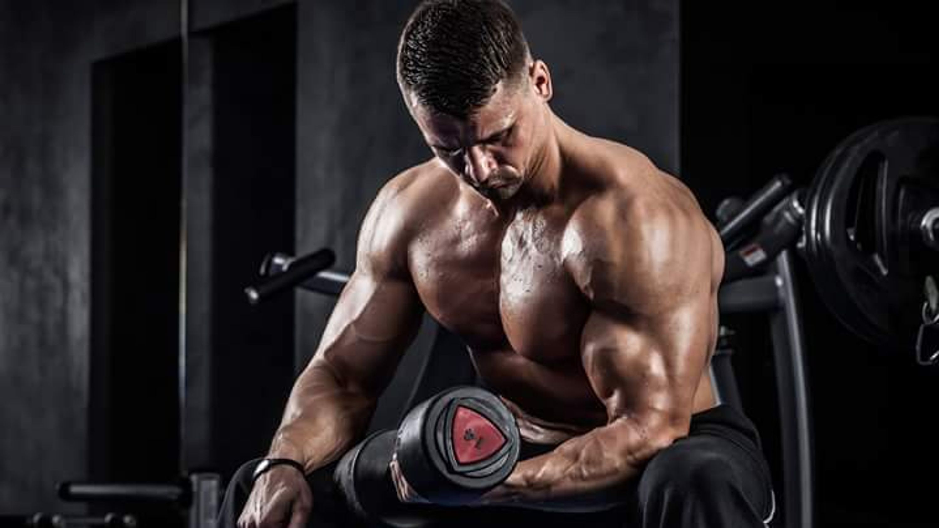 Health & Fitness
