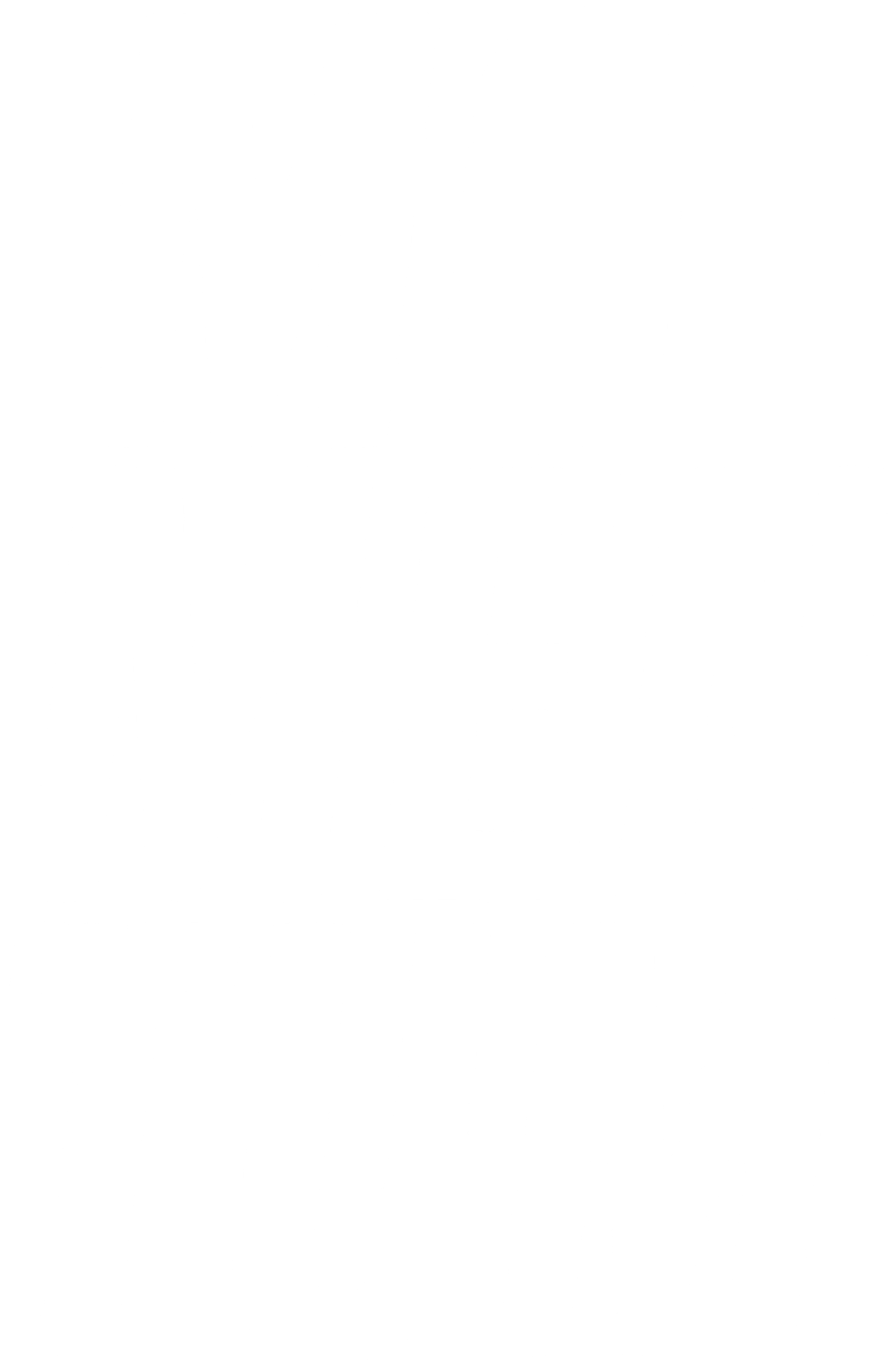 Studio Momentum