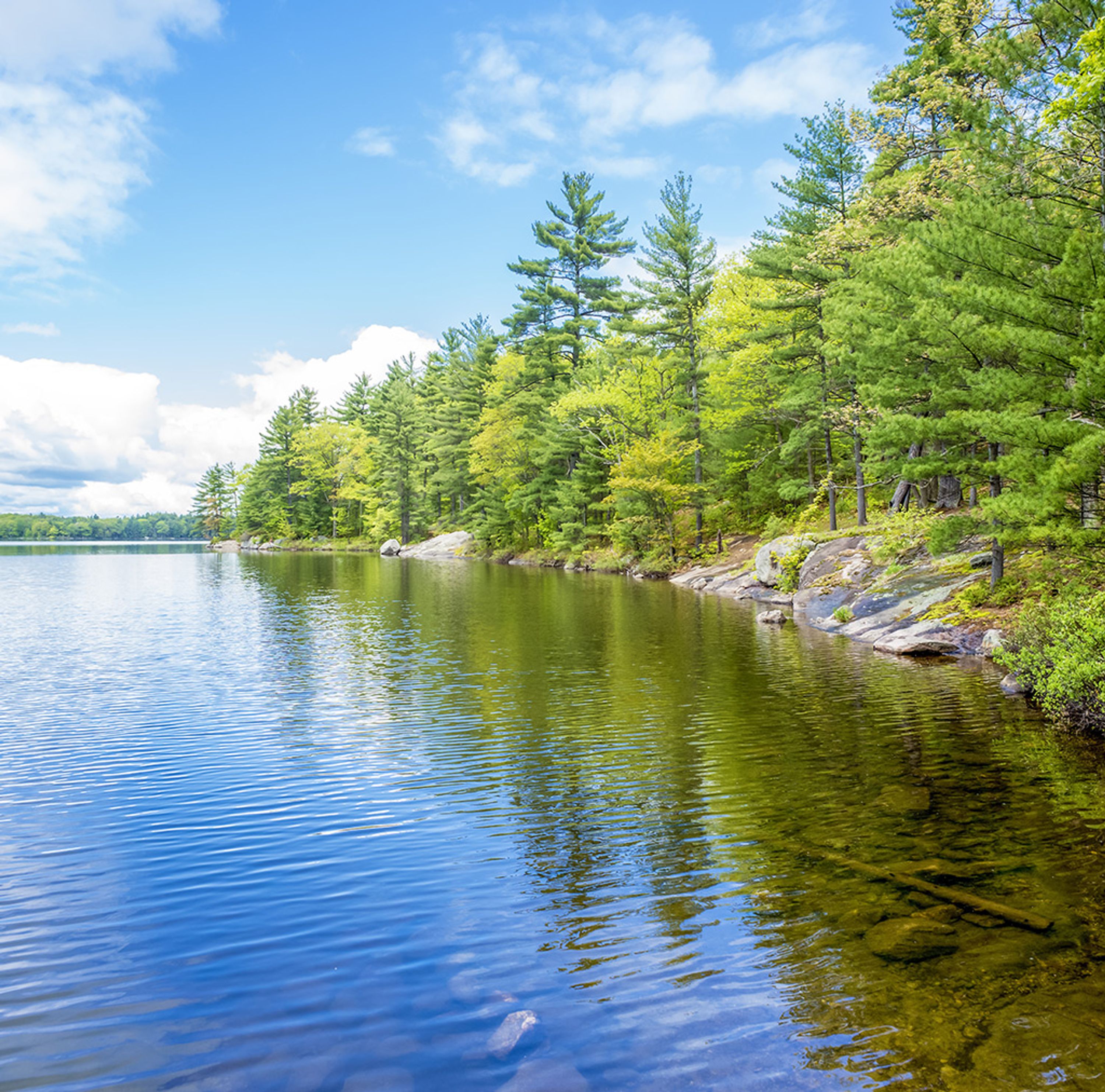 Gathering Lake Outfitters