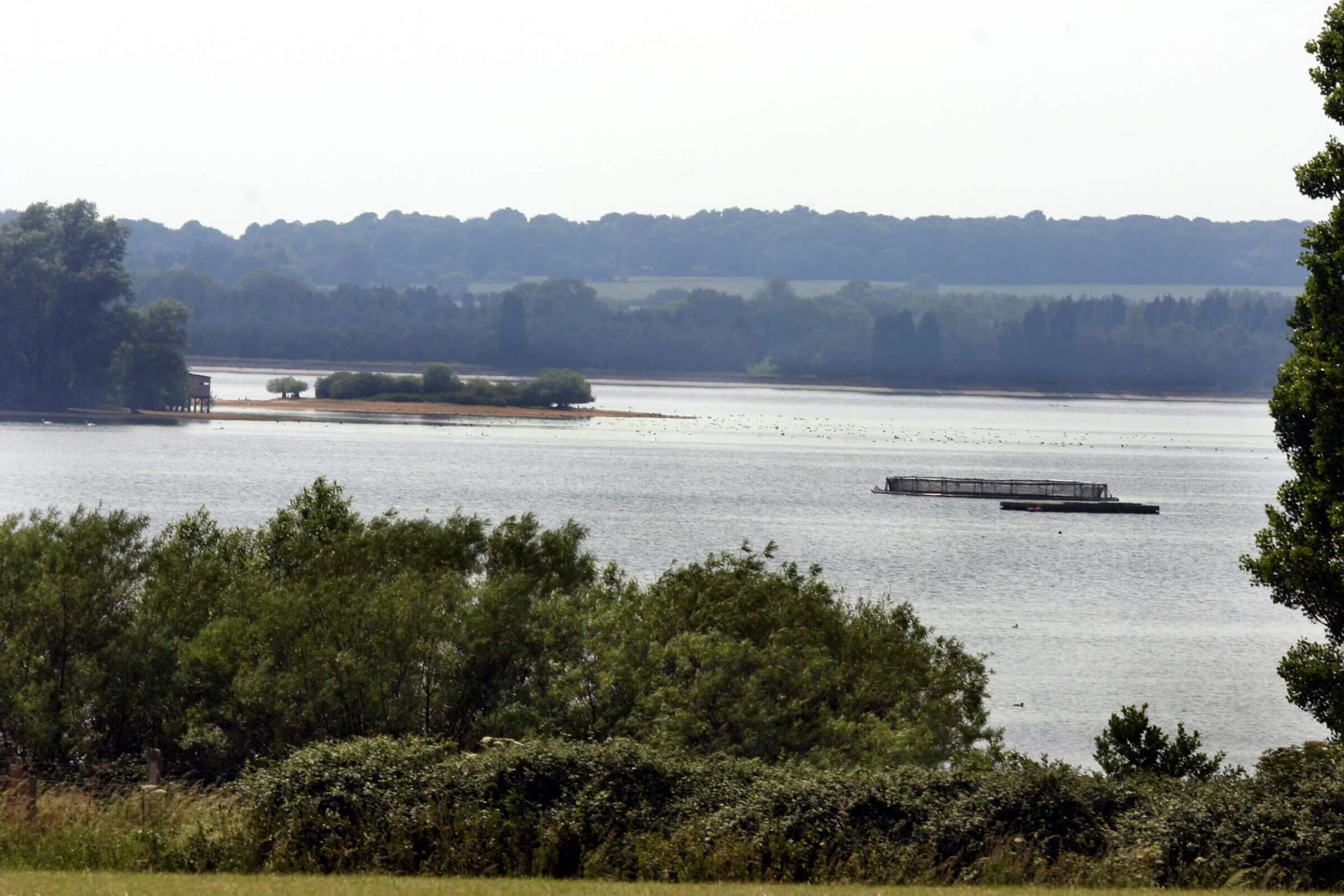Fishing at Hanningfield
