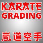 Karate Symposium