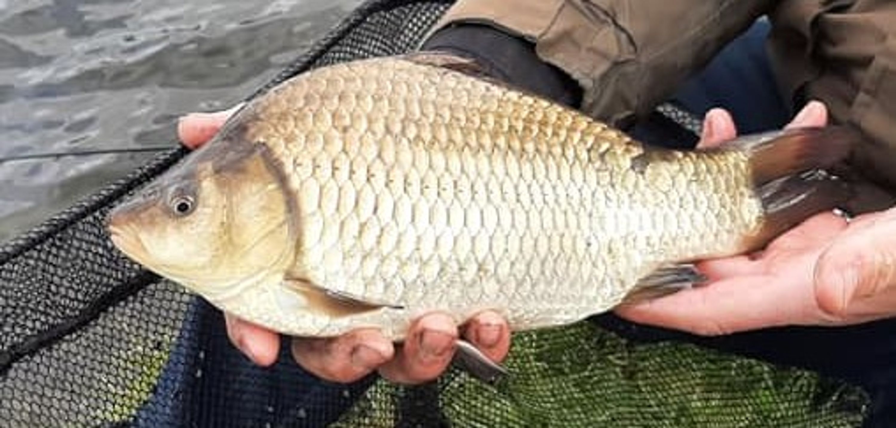 Skipton Angling Association