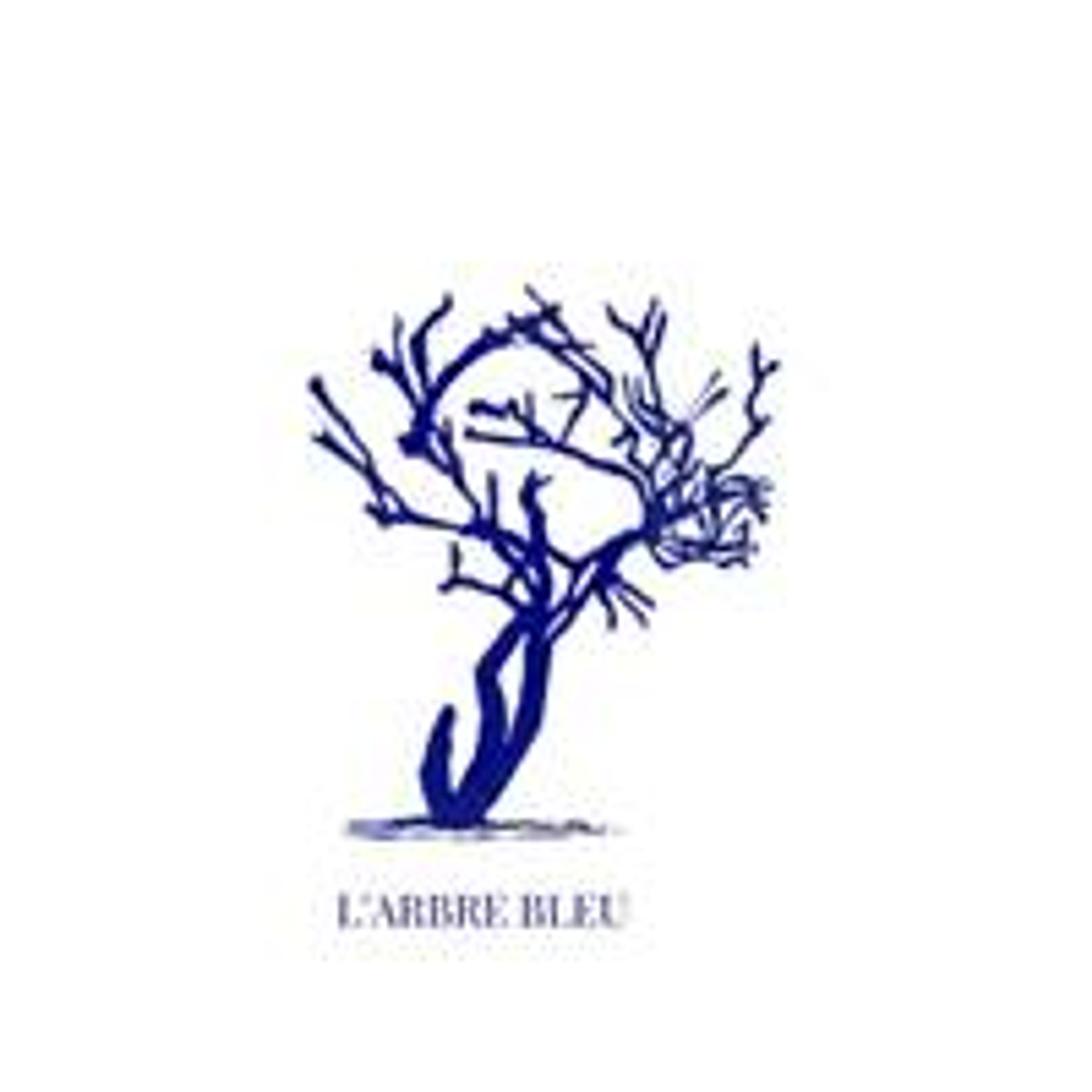 Francois Echassoux - Franck Cadoux - L'arbre Bleu-Dordogne, Chambre D'hôtes, Organisation Et Accueil De Stages