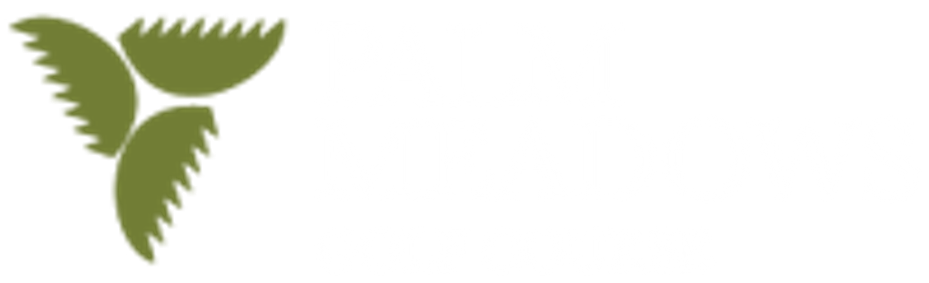 Palm Meadows Driving Range
