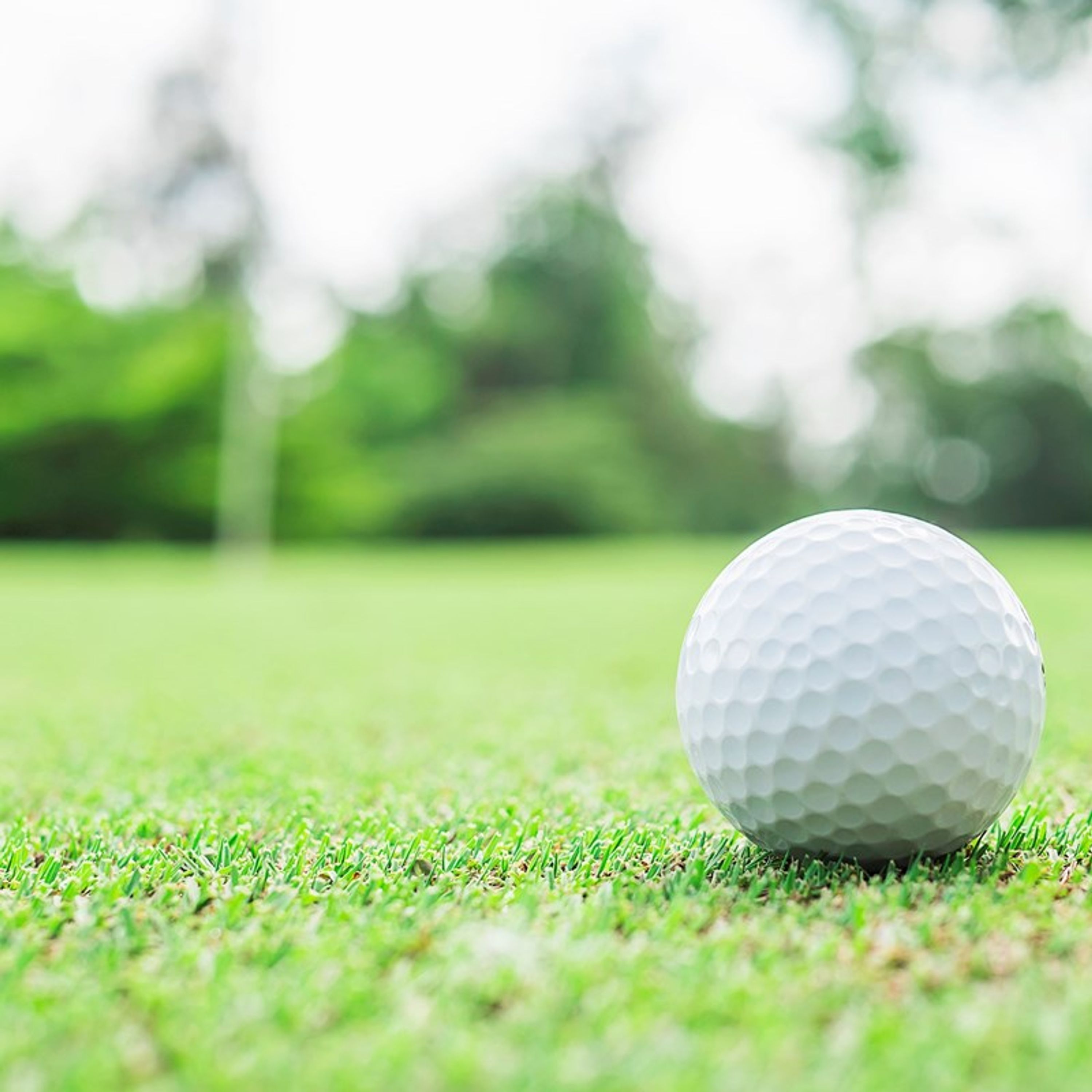 Golf and Bowling Greens