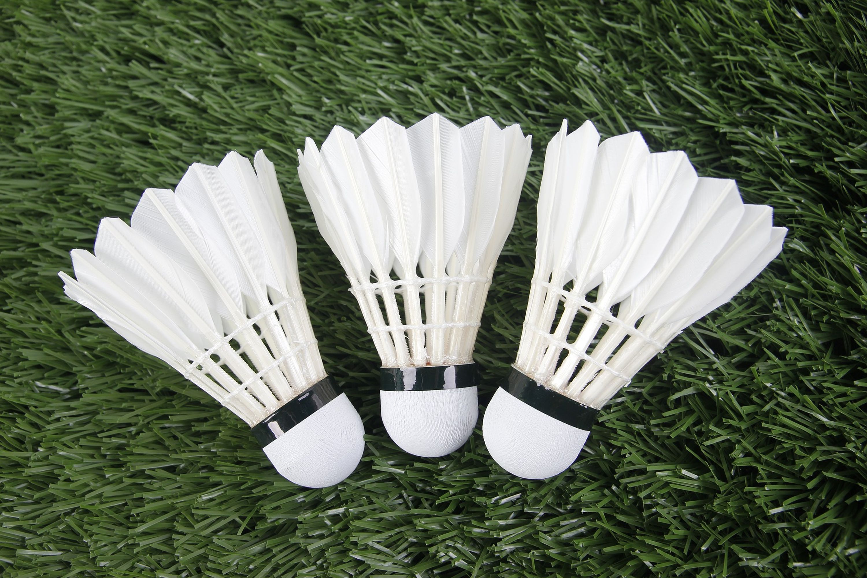 Longuenesse Badminton Club