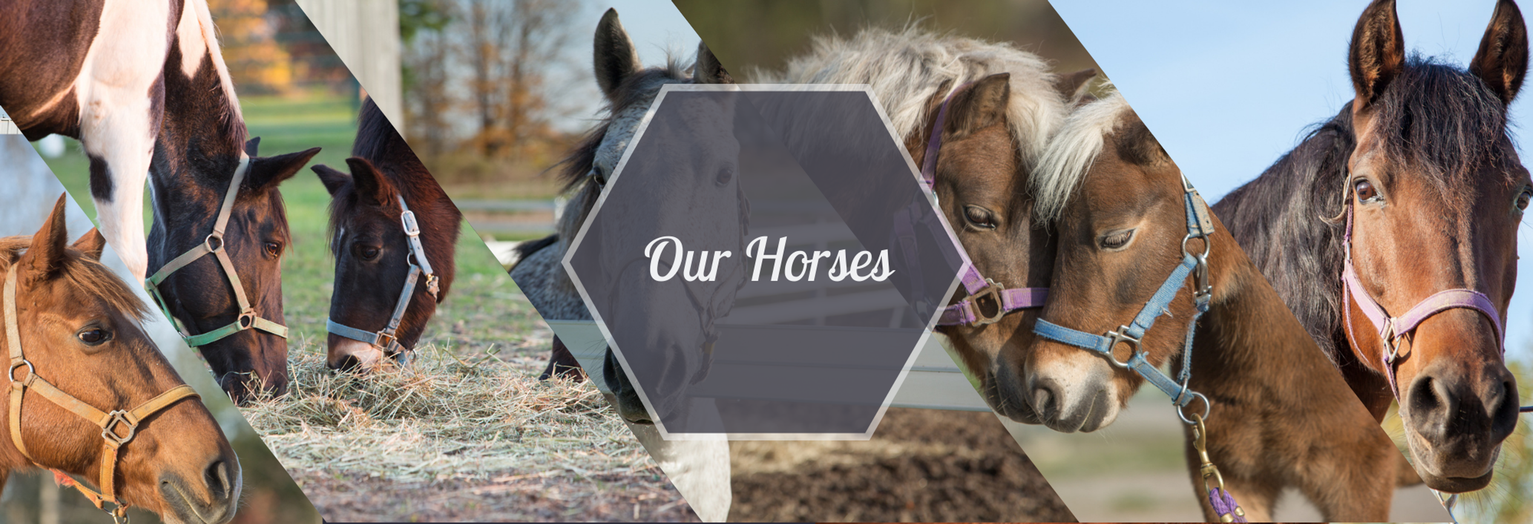 Spring 2024 Little Britches