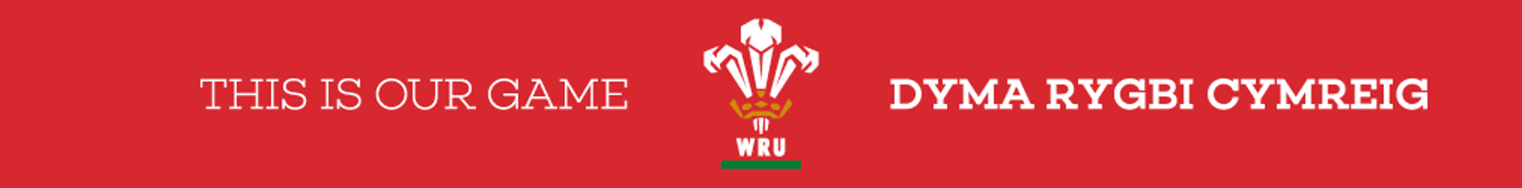 Rugby League - South Wales Saints
