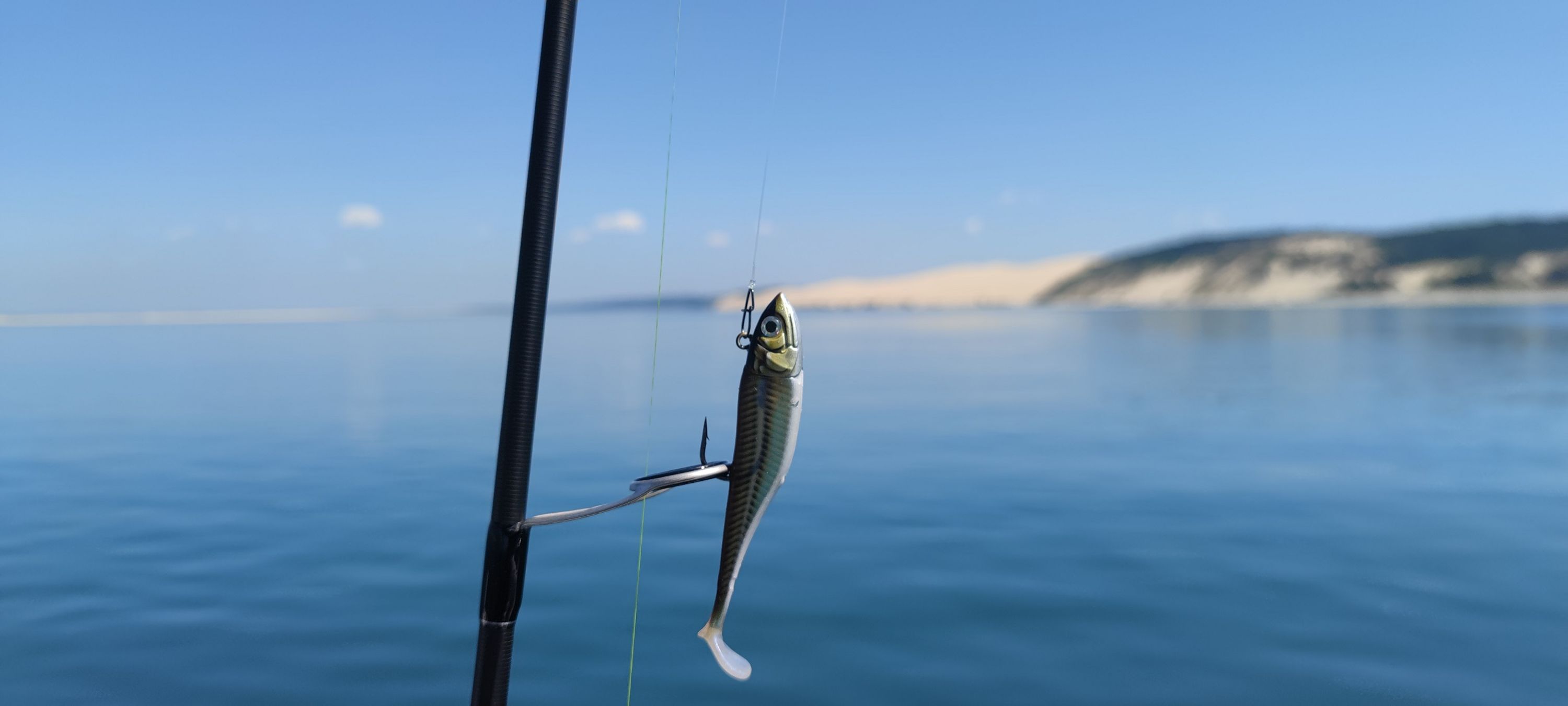 Aquitaine Peches sportives - Guide peche arcachon-