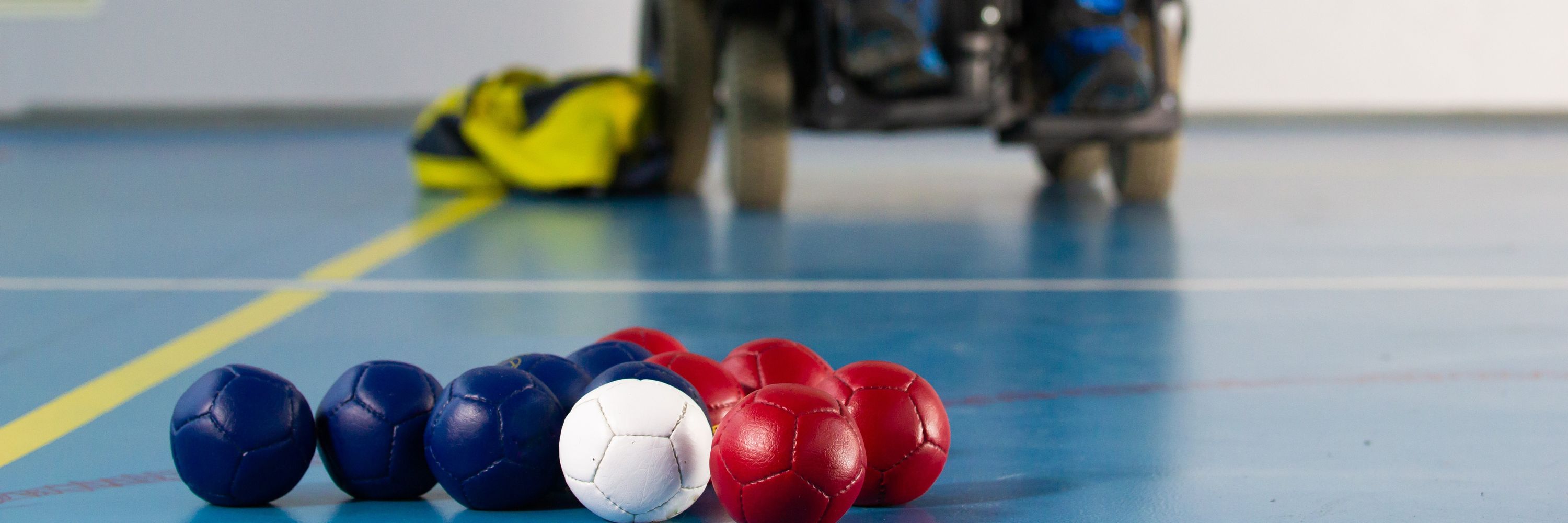 Redlands Boccia Program