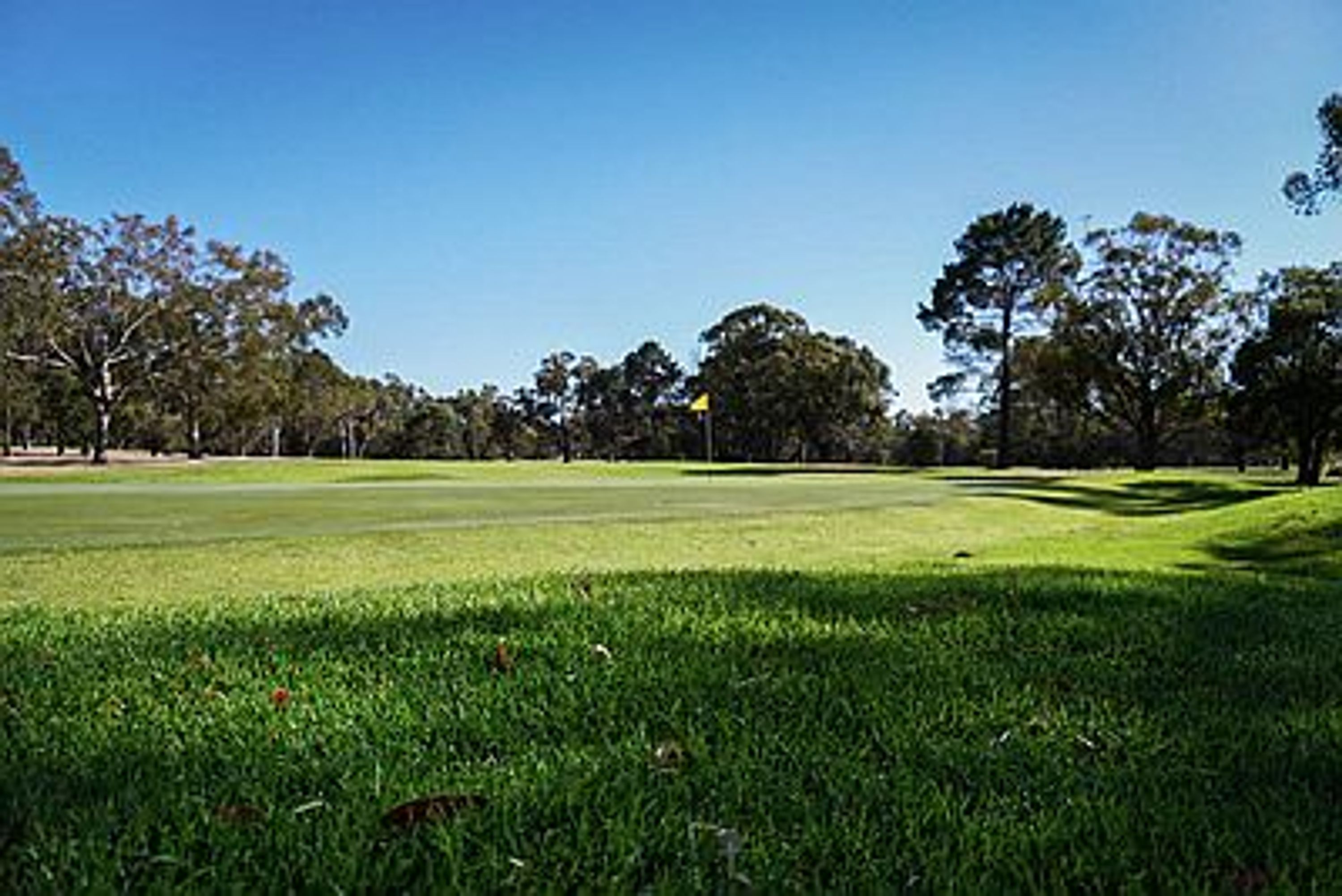 50th Annual 2024 Kwinana Cup