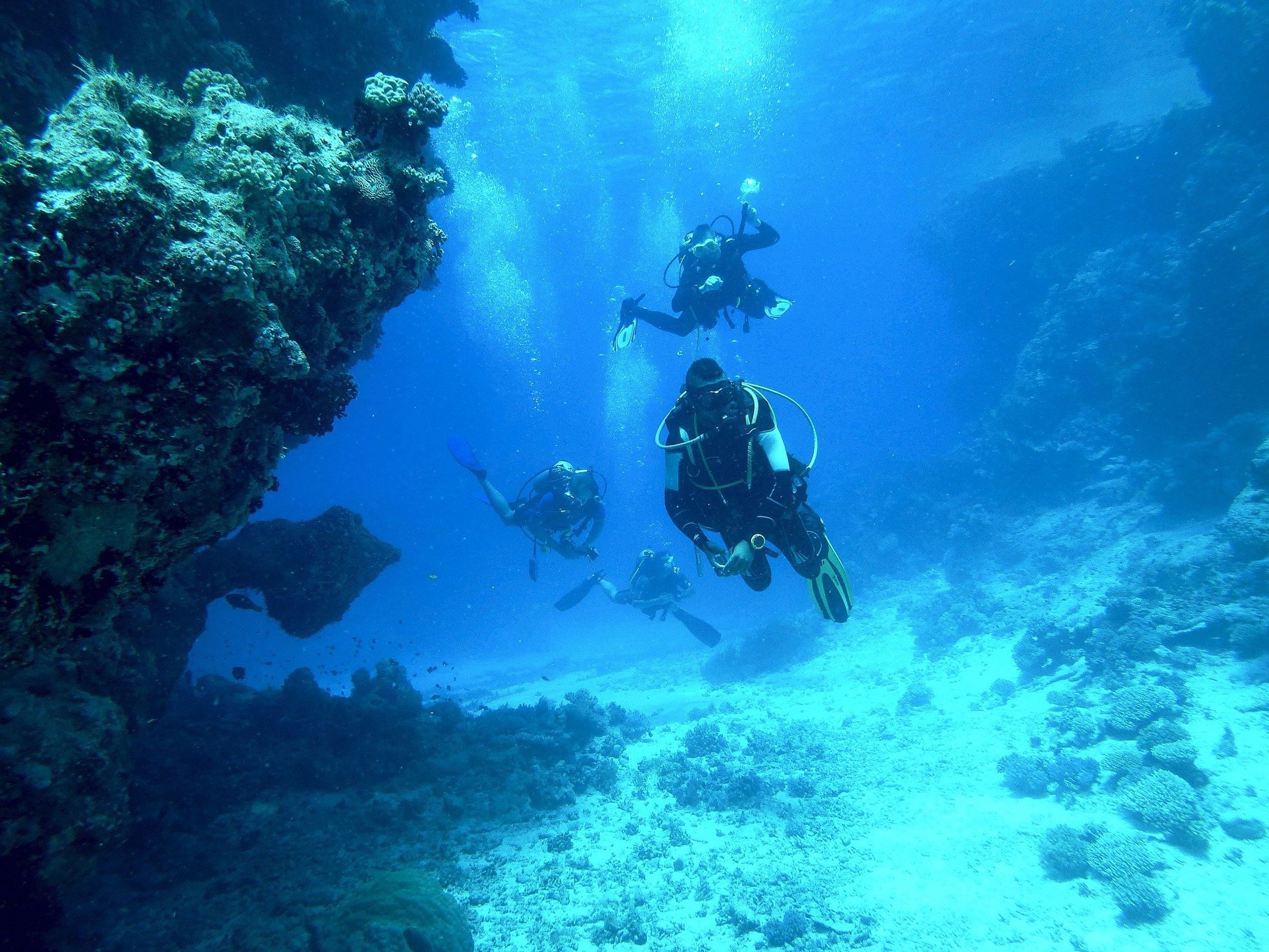 Club Sassenage Plongée (Sous Marine et apnée)