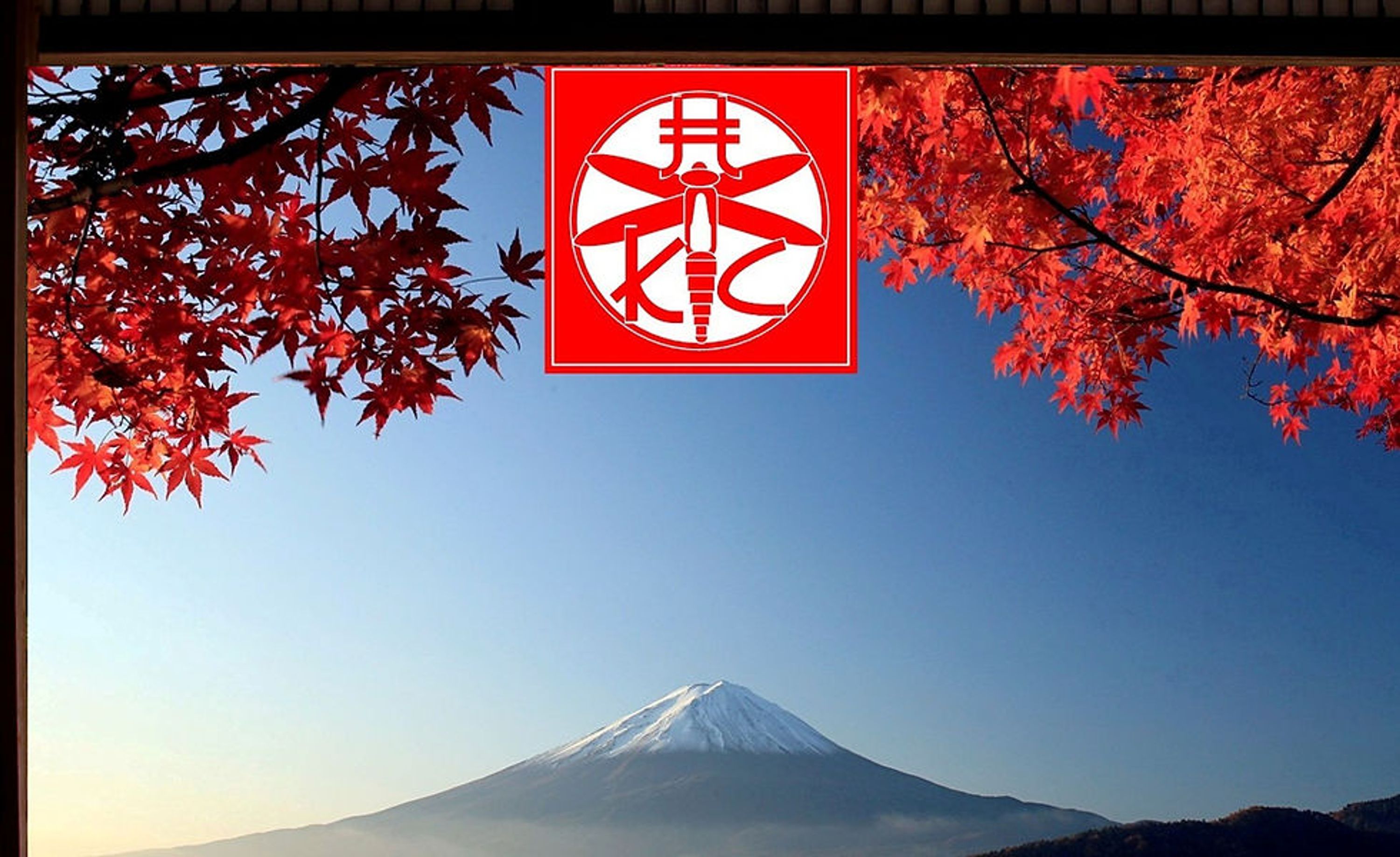 Hurepoix Kendo Club